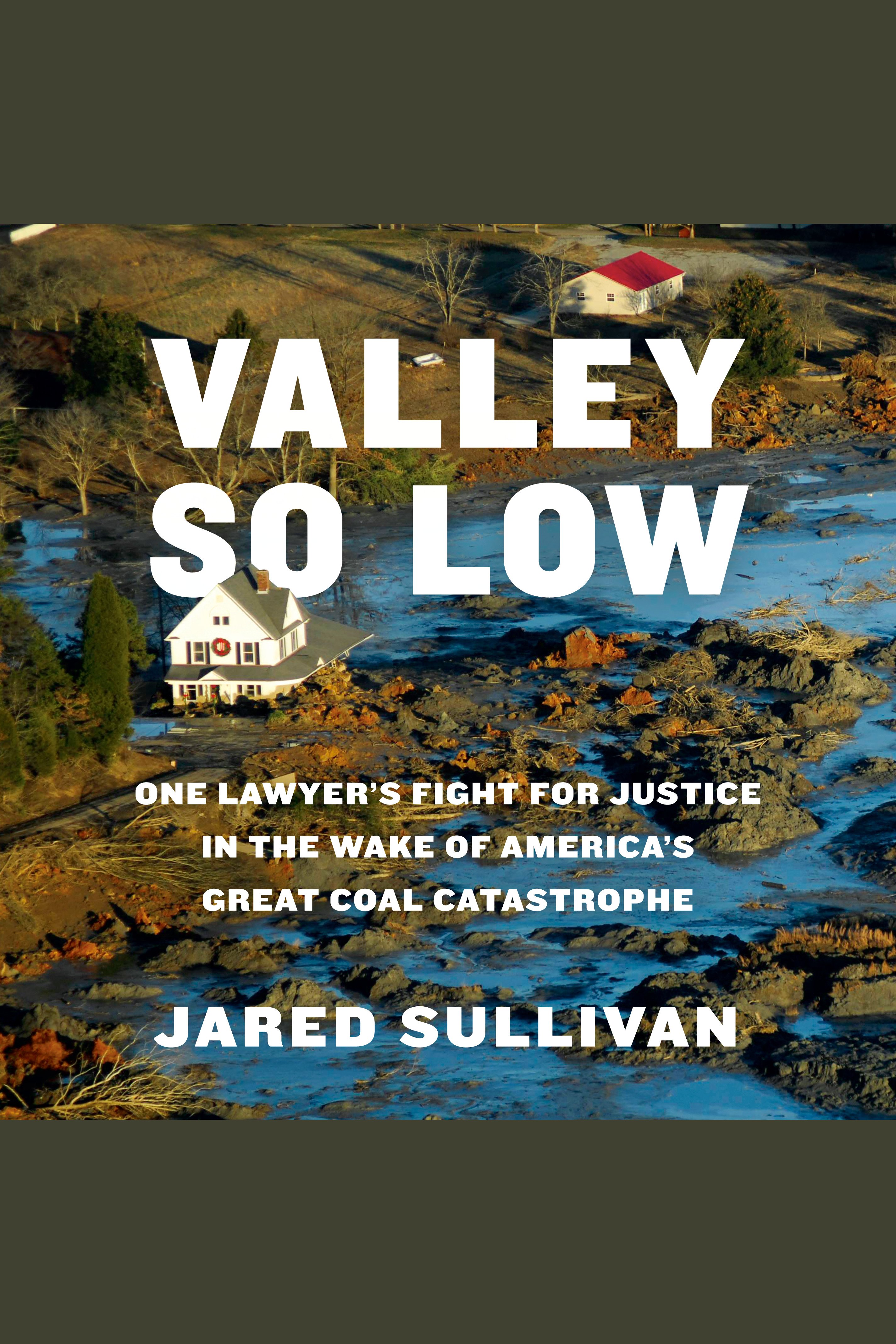 Valley So Low One Lawyer's Fight for Justice in the Wake of America's Great Coal Catastrophe cover image