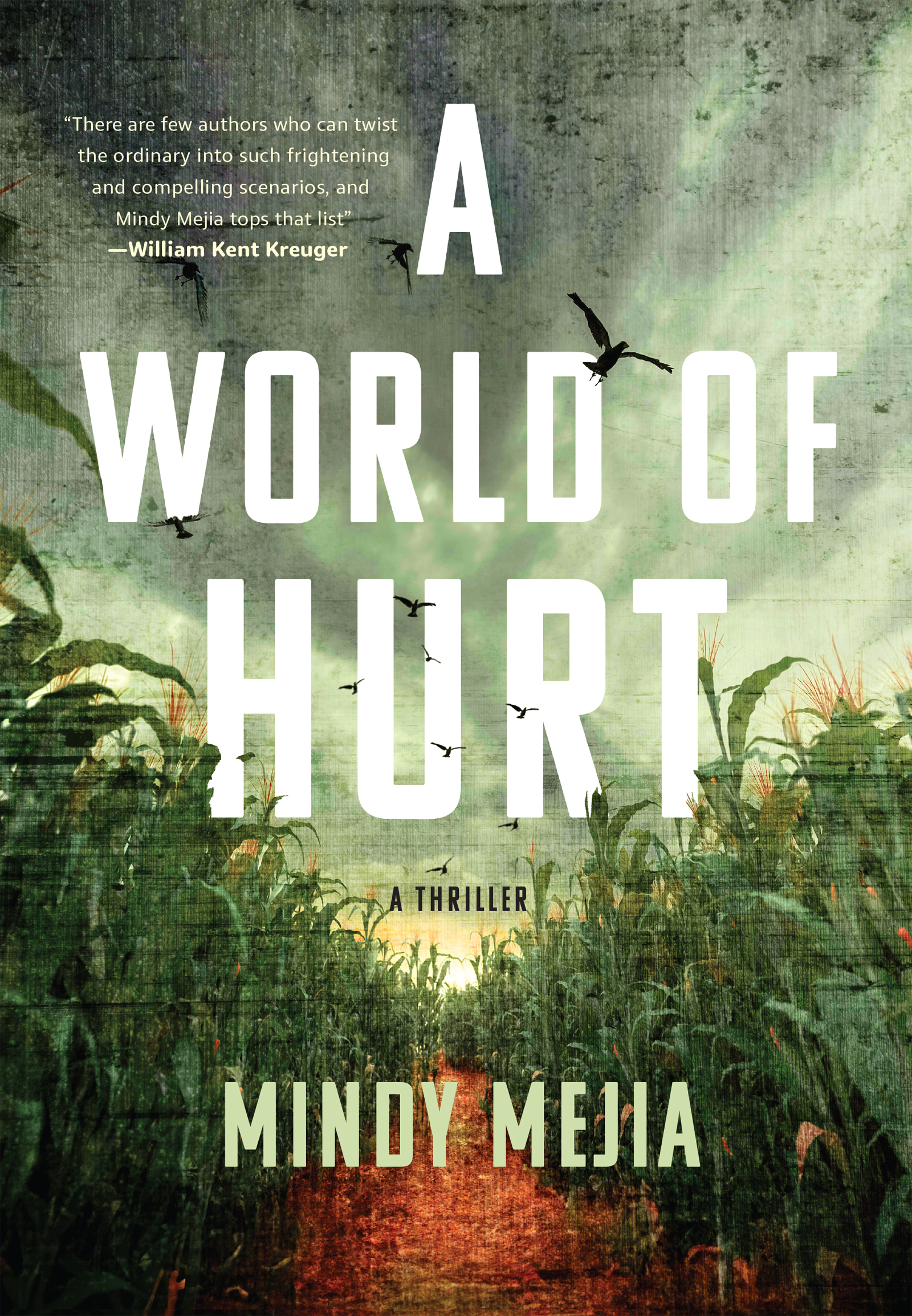 Umschlagbild für A World of Hurt [electronic resource] :