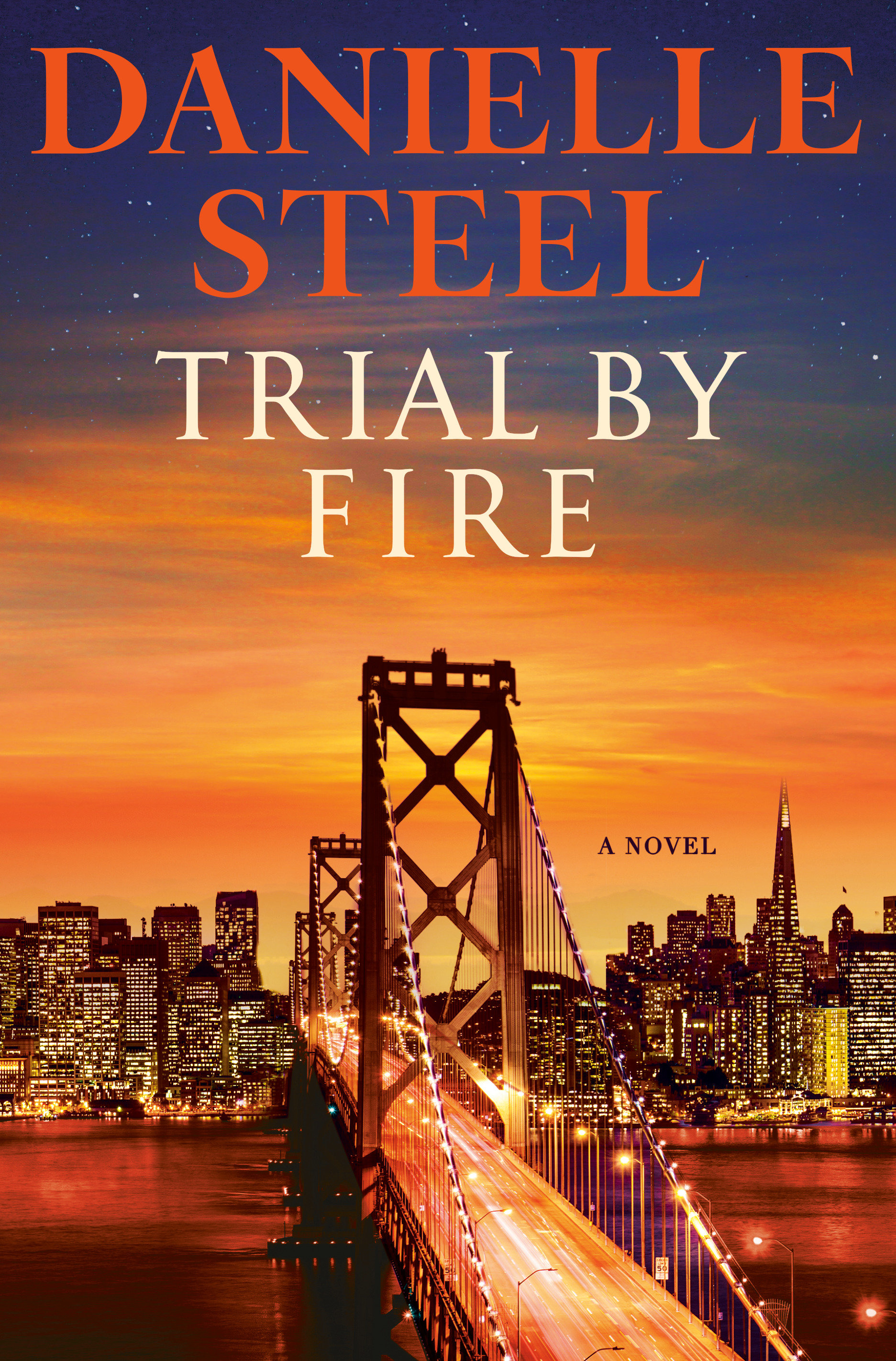 Image de couverture de Trial by Fire [electronic resource] : A Novel