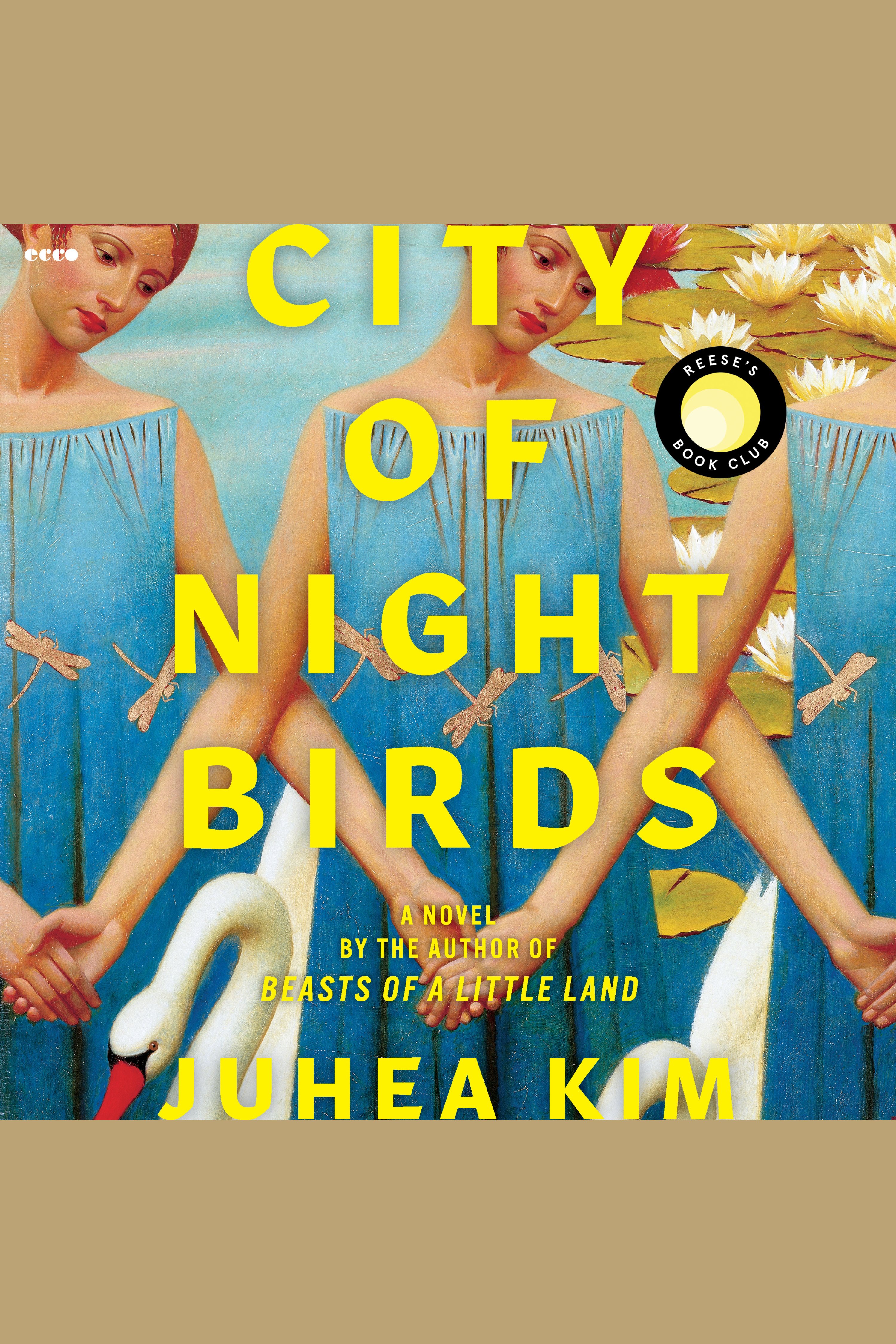 City of Night Birds cover image
