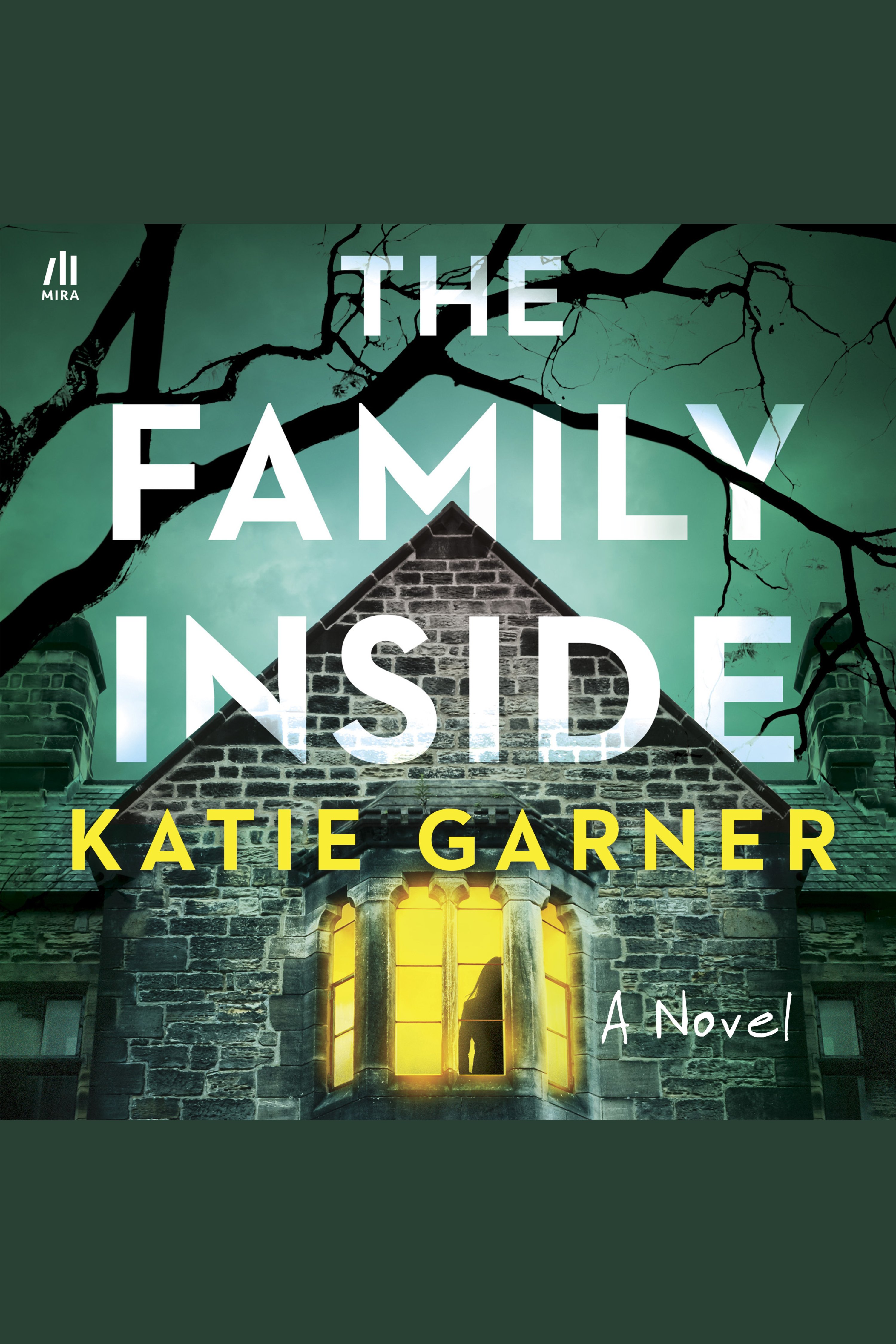 The Family Inside cover image