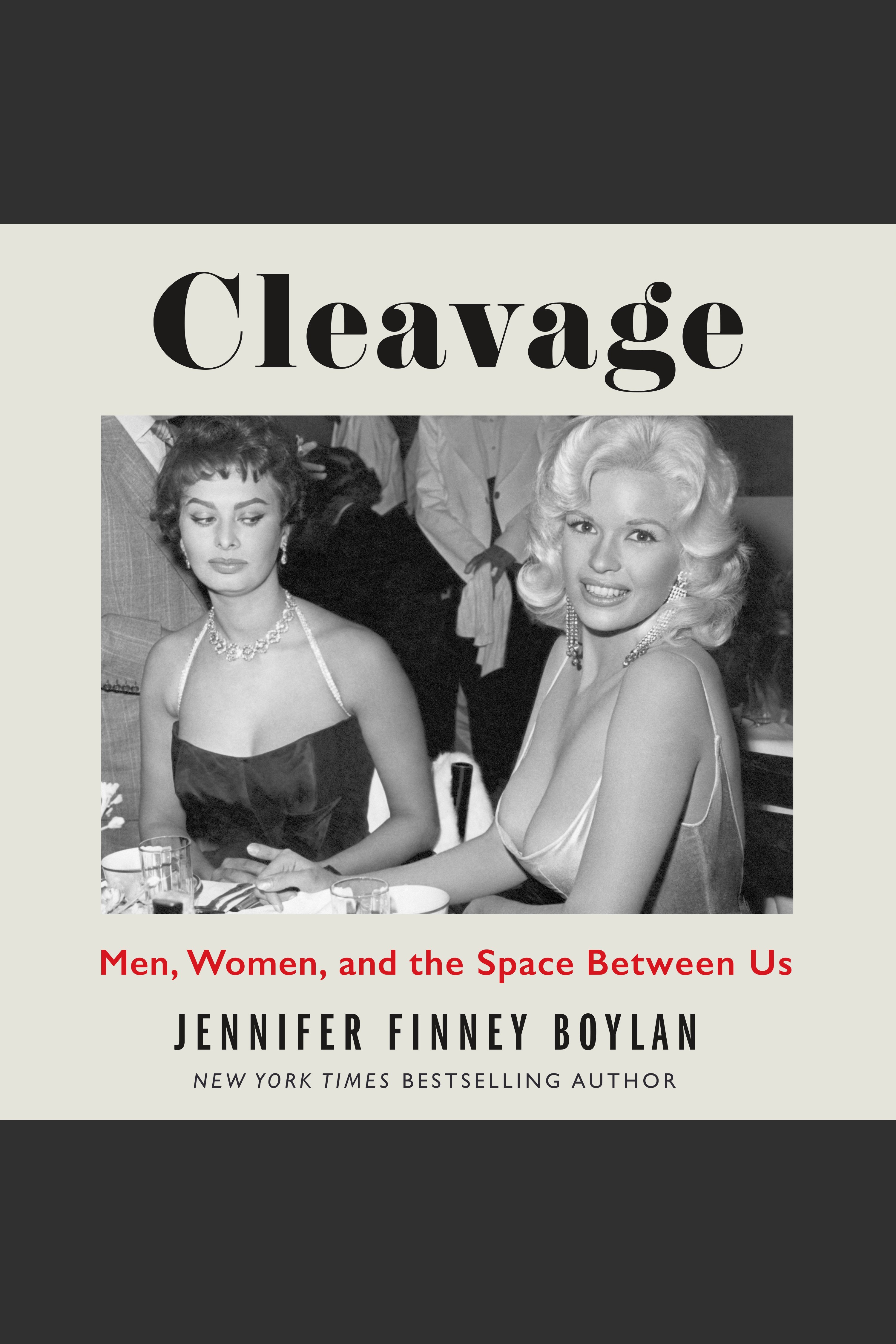 Cover image for Cleavage [electronic resource] : Men, Women, and the Space Between Us