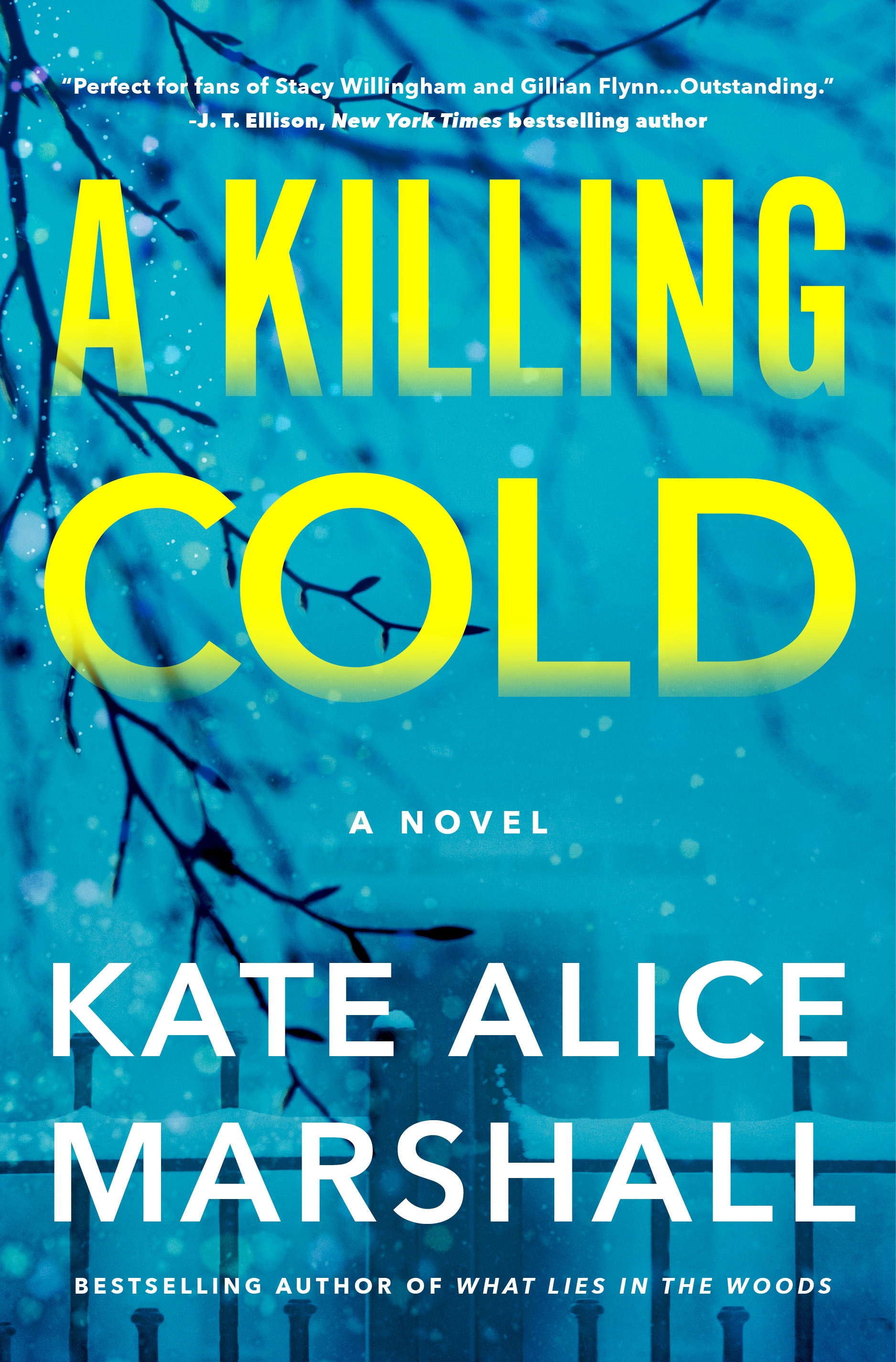 Cover image for A Killing Cold [electronic resource] : A Novel