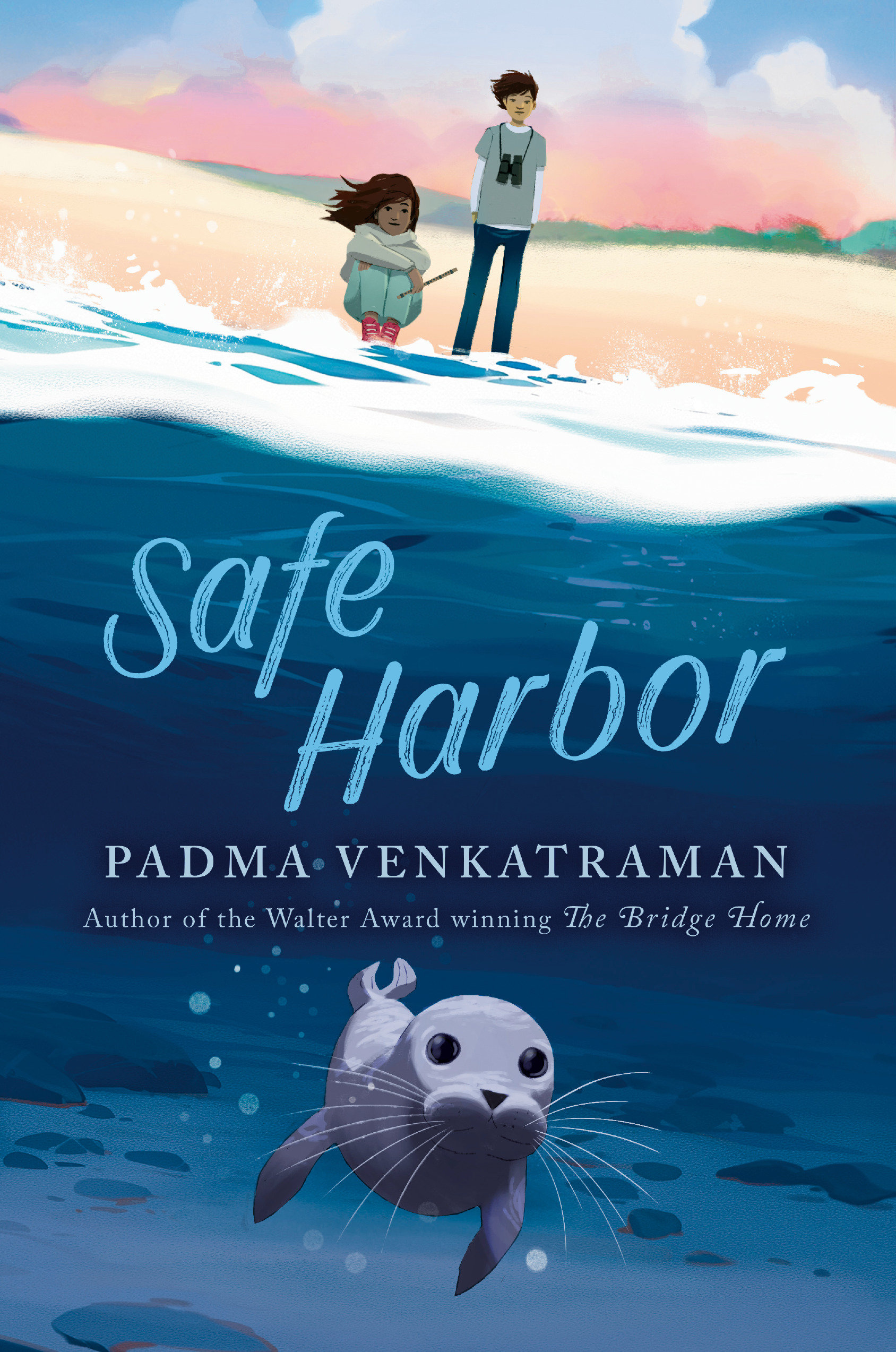 Safe Harbor cover image