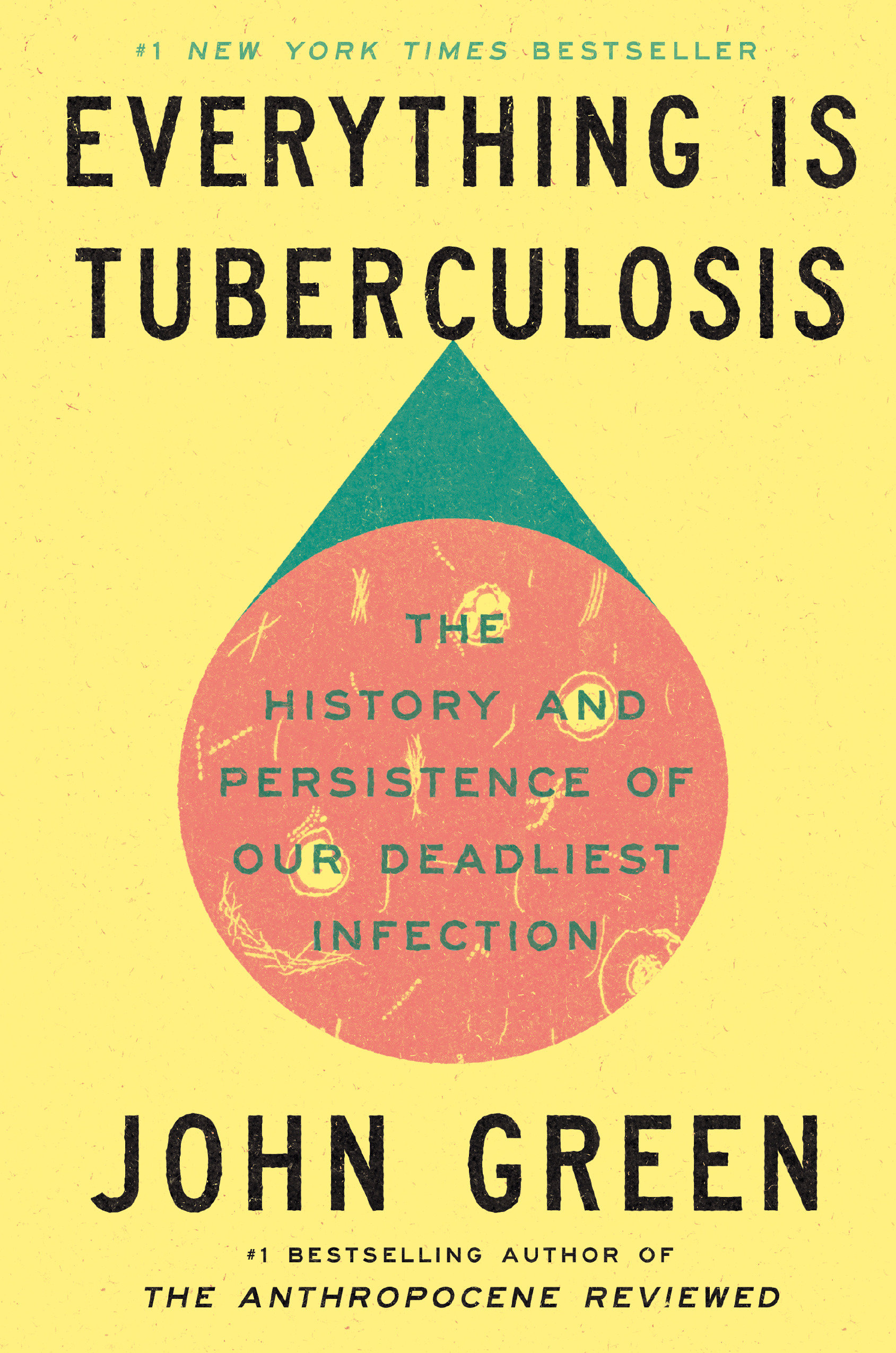 Everything Is Tuberculosis The History and Persistence of Our Deadliest Infection cover image