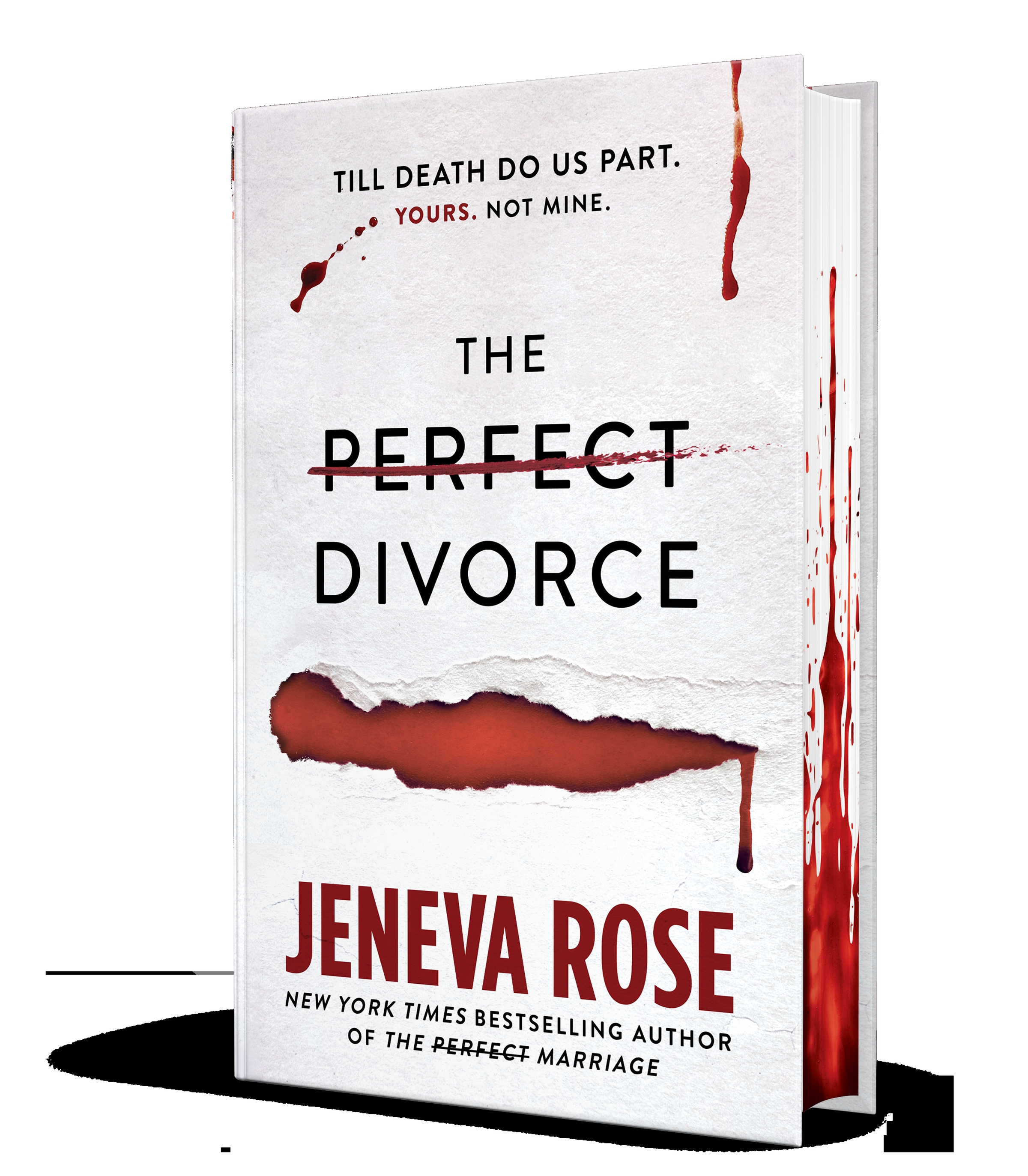 Image de couverture de The Perfect Divorce [electronic resource] :