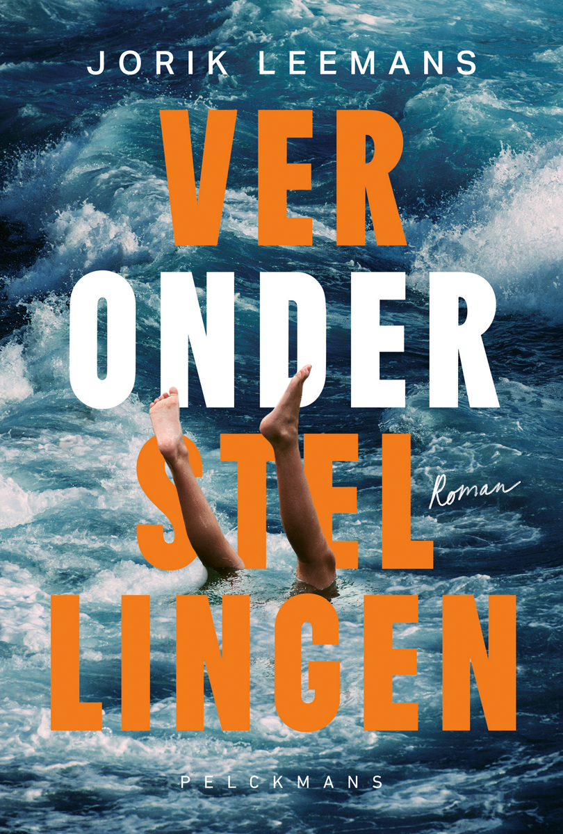 Veronderstellingen : roman