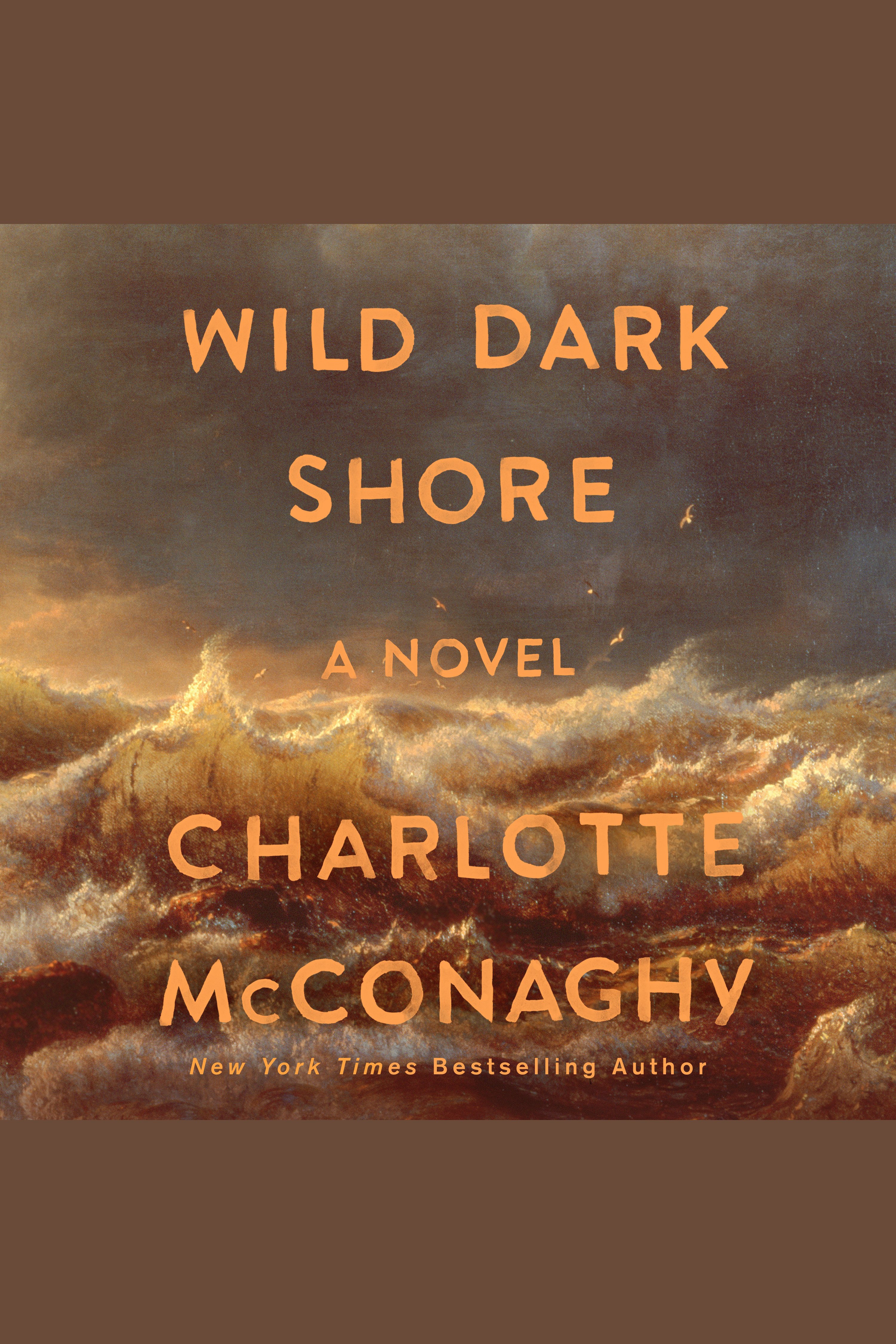 Wild Dark Shore