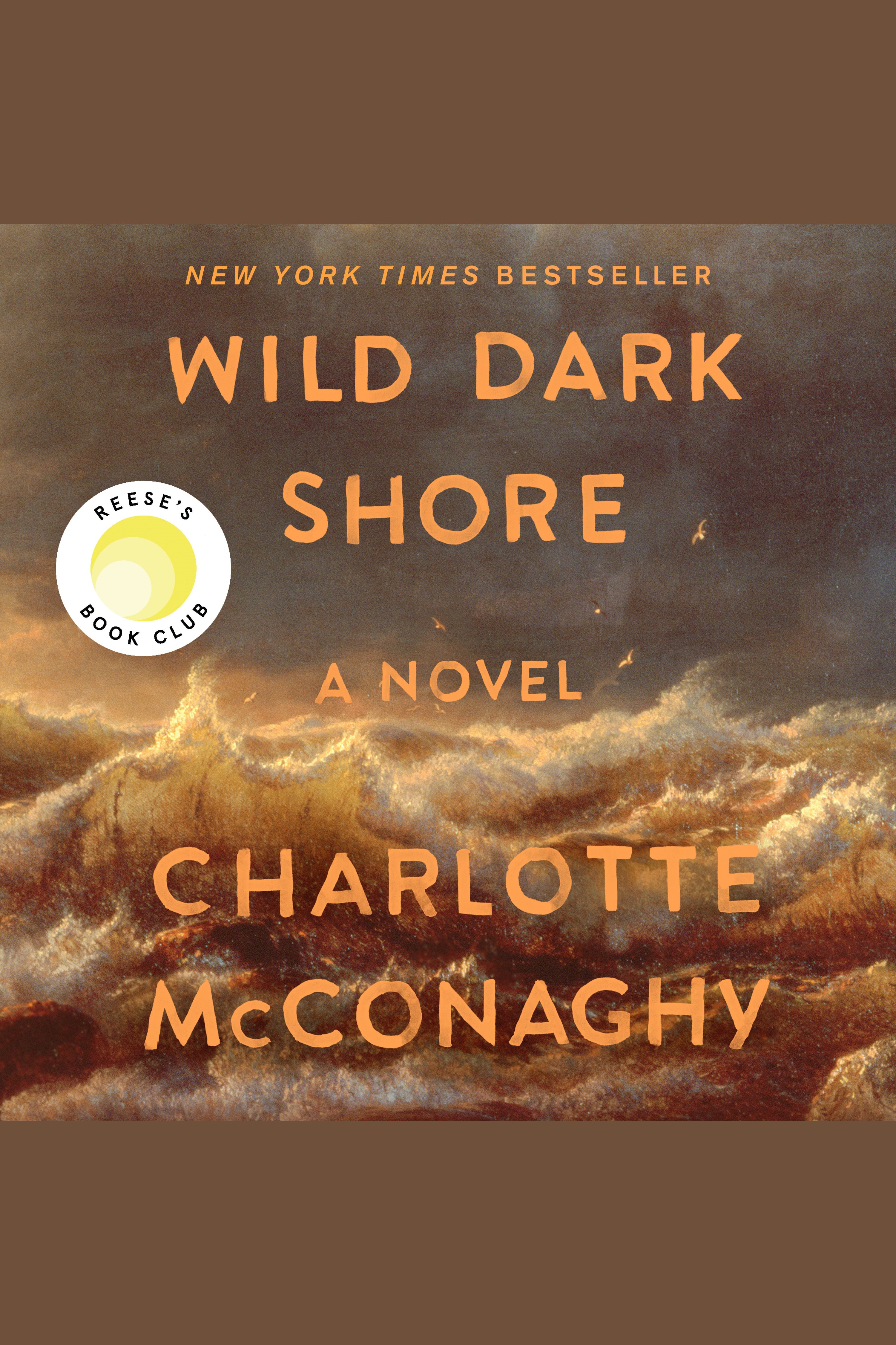 Wild Dark Shore cover image