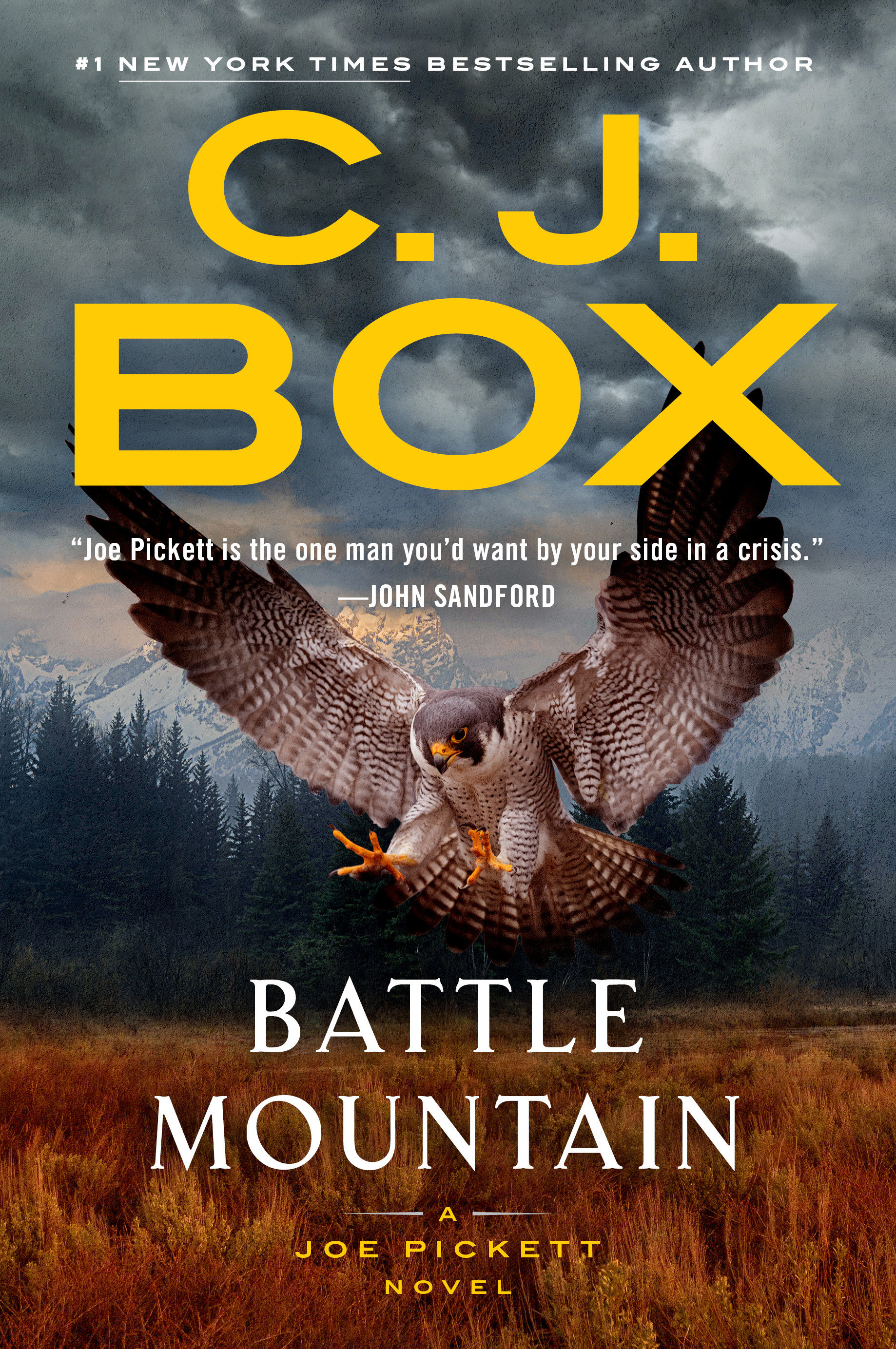 Umschlagbild für Battle Mountain [electronic resource] :