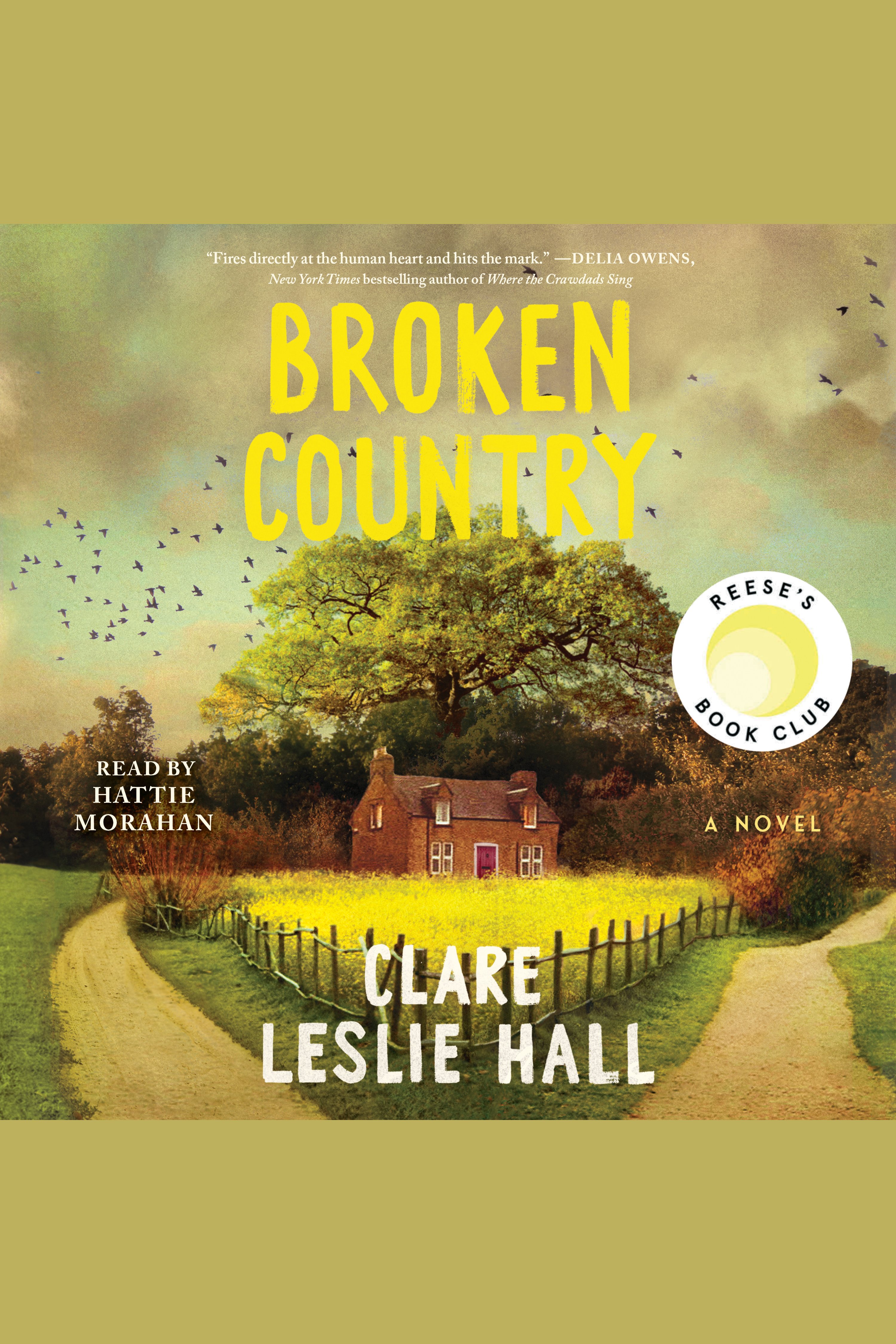 Broken Country cover image