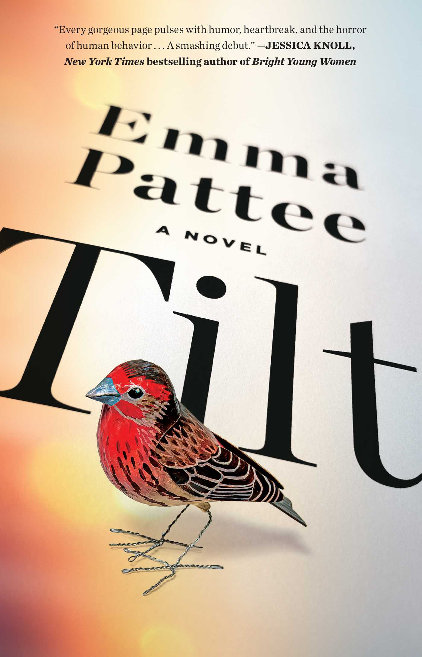Image de couverture de Tilt [electronic resource] : A Novel
