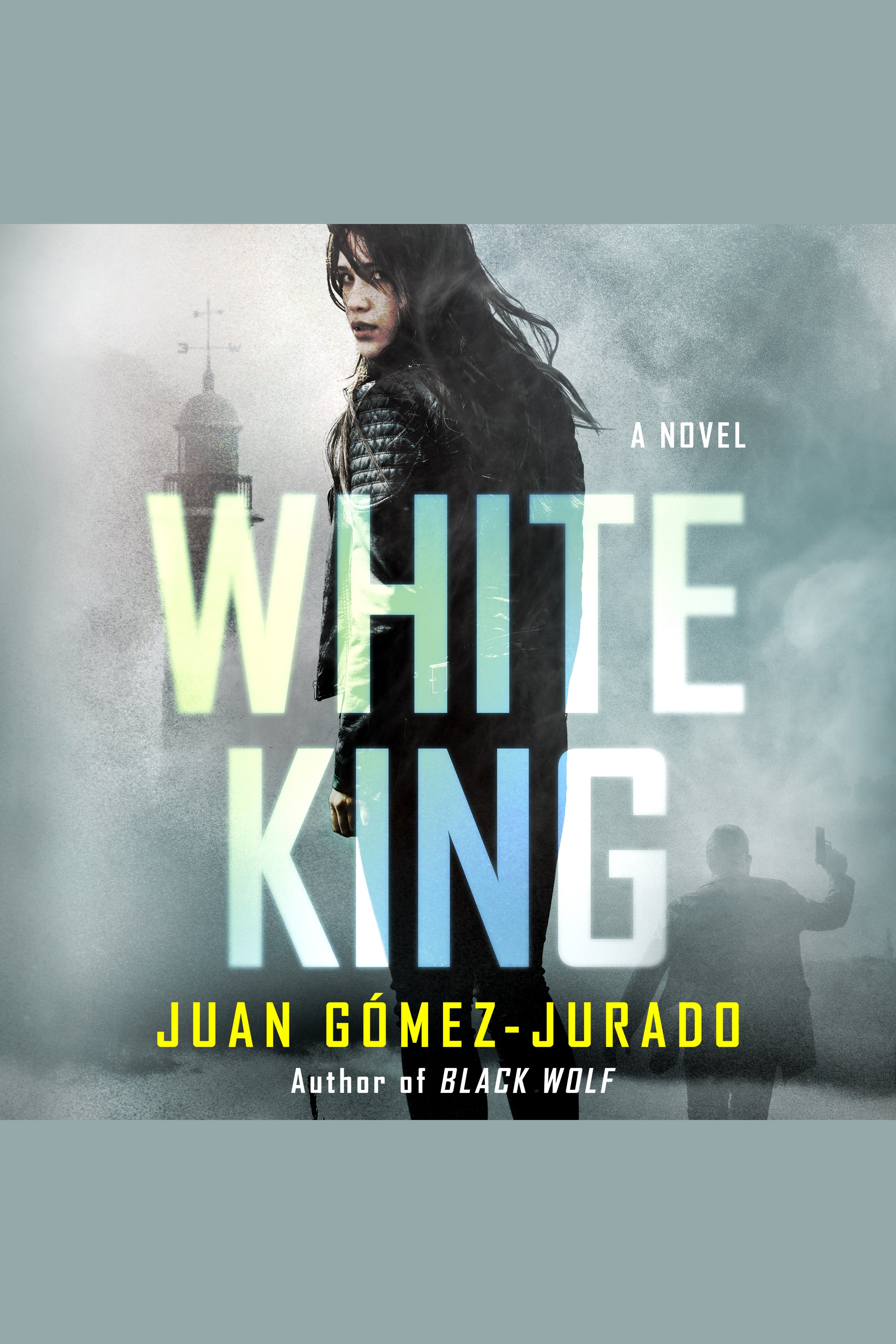 Cover image for White King [electronic resource] : A Novel
