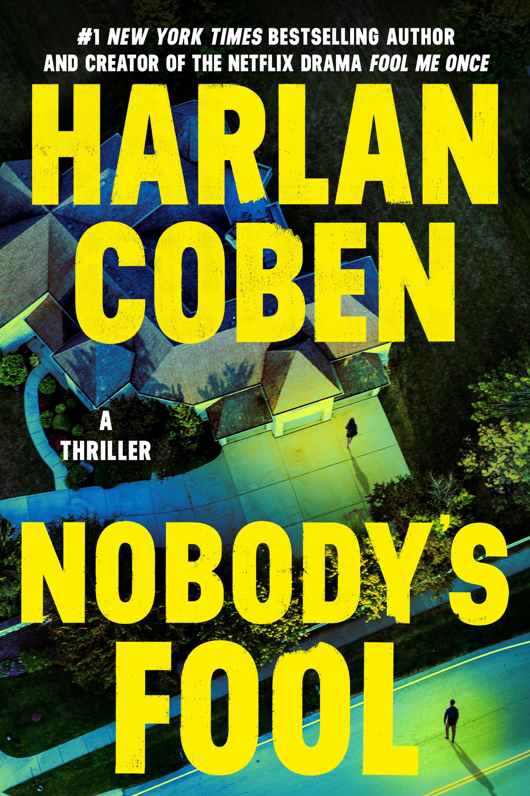 Imagen de portada para Nobody's Fool [electronic resource] :