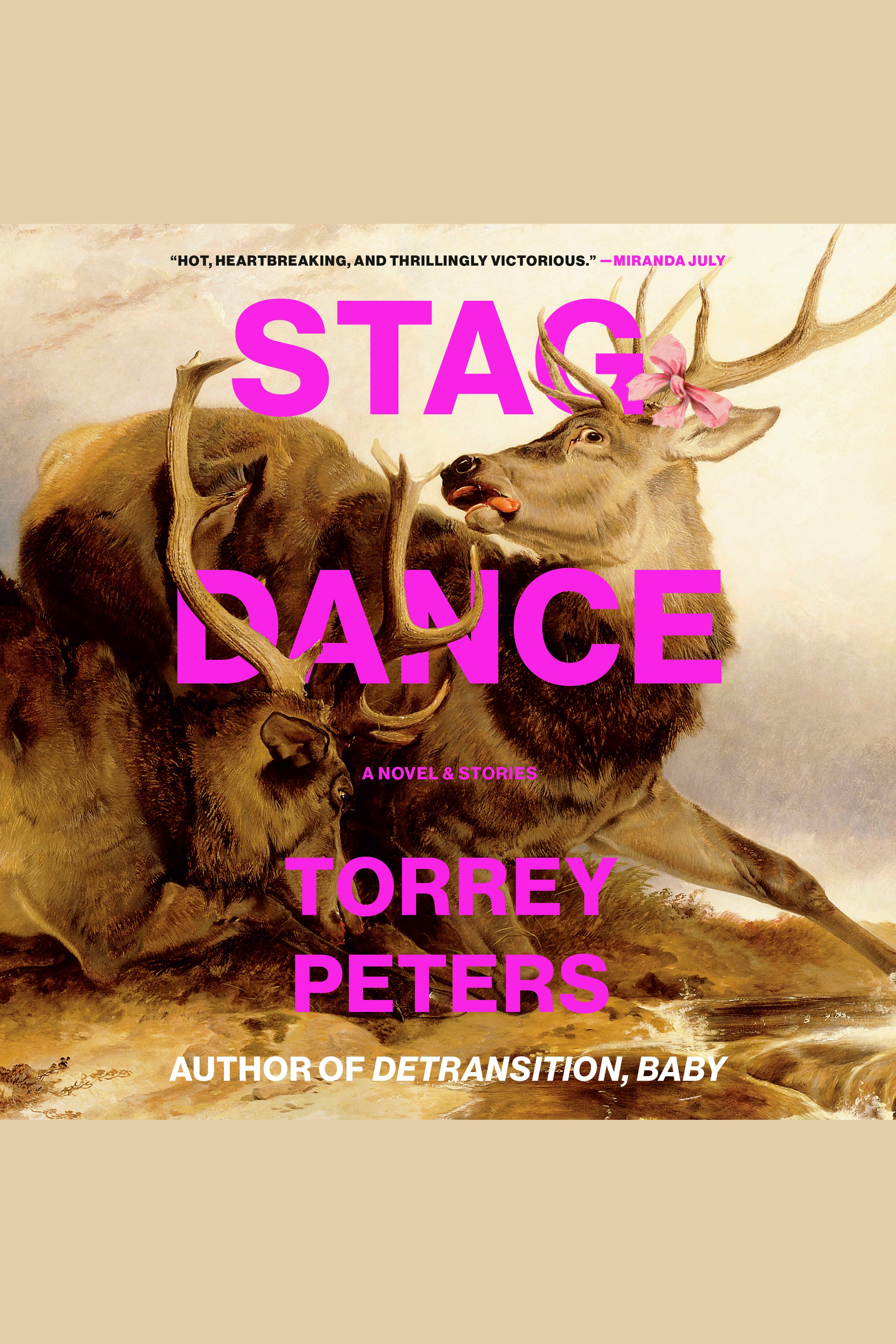 Stag Dance A Novel & Stories cover image