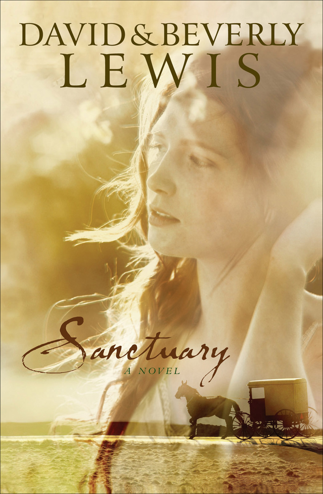 Cover image for Sanctuary [electronic resource] :