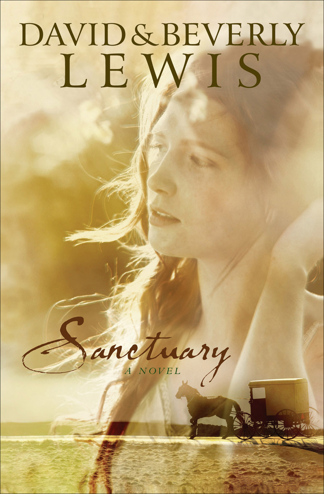 Imagen de portada para Sanctuary [electronic resource] :