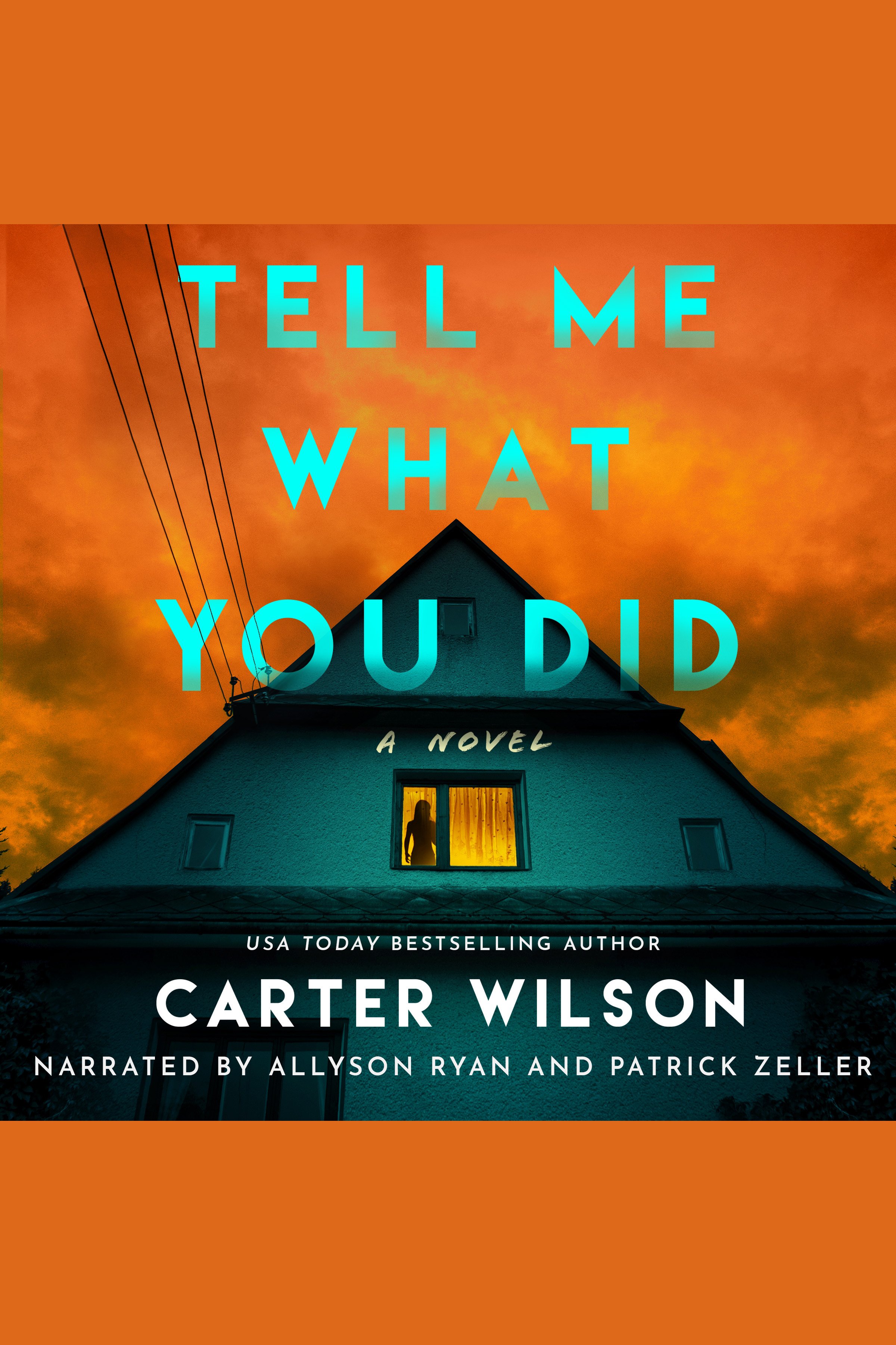 Tell Me What You Did cover image