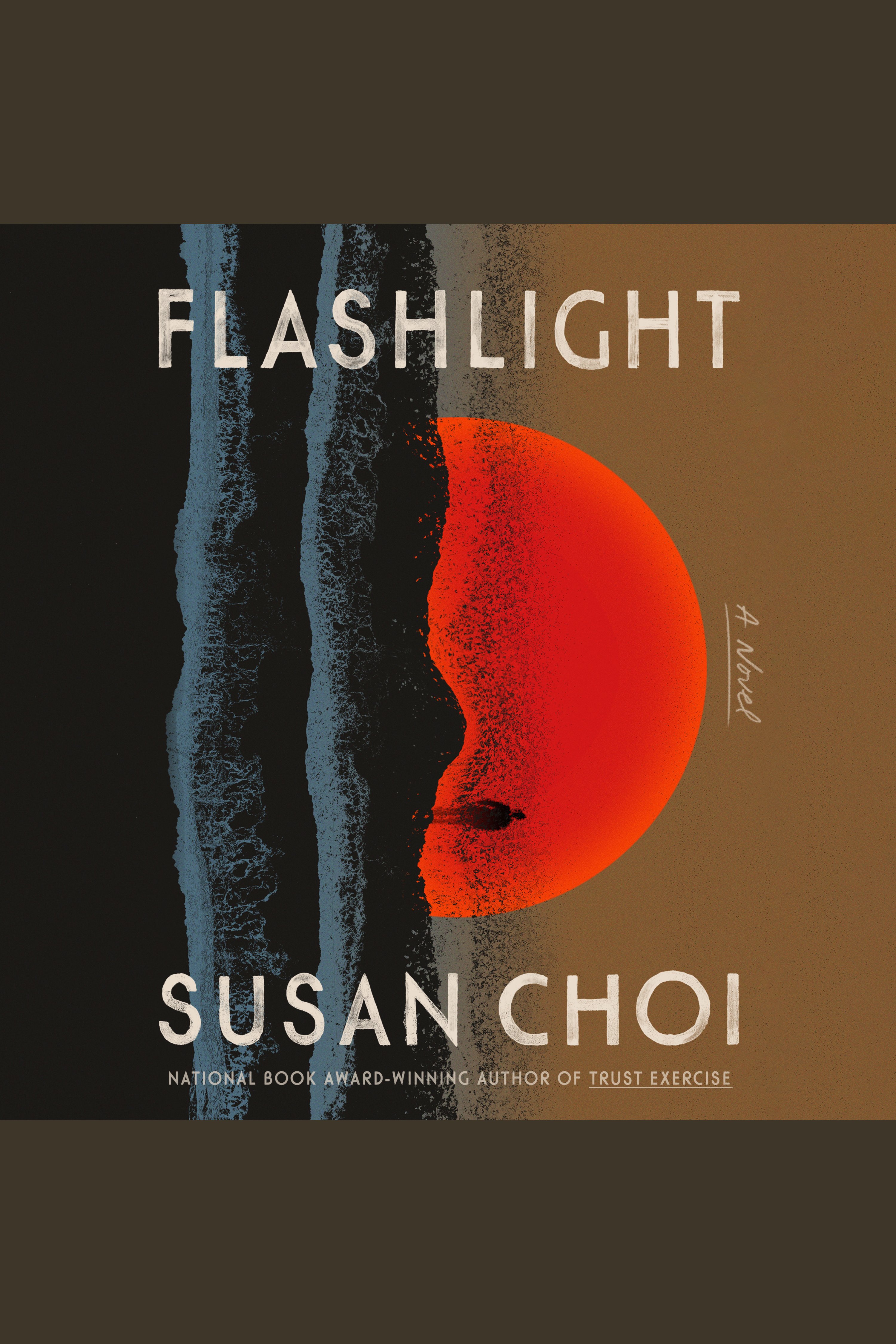 Flashlight cover image