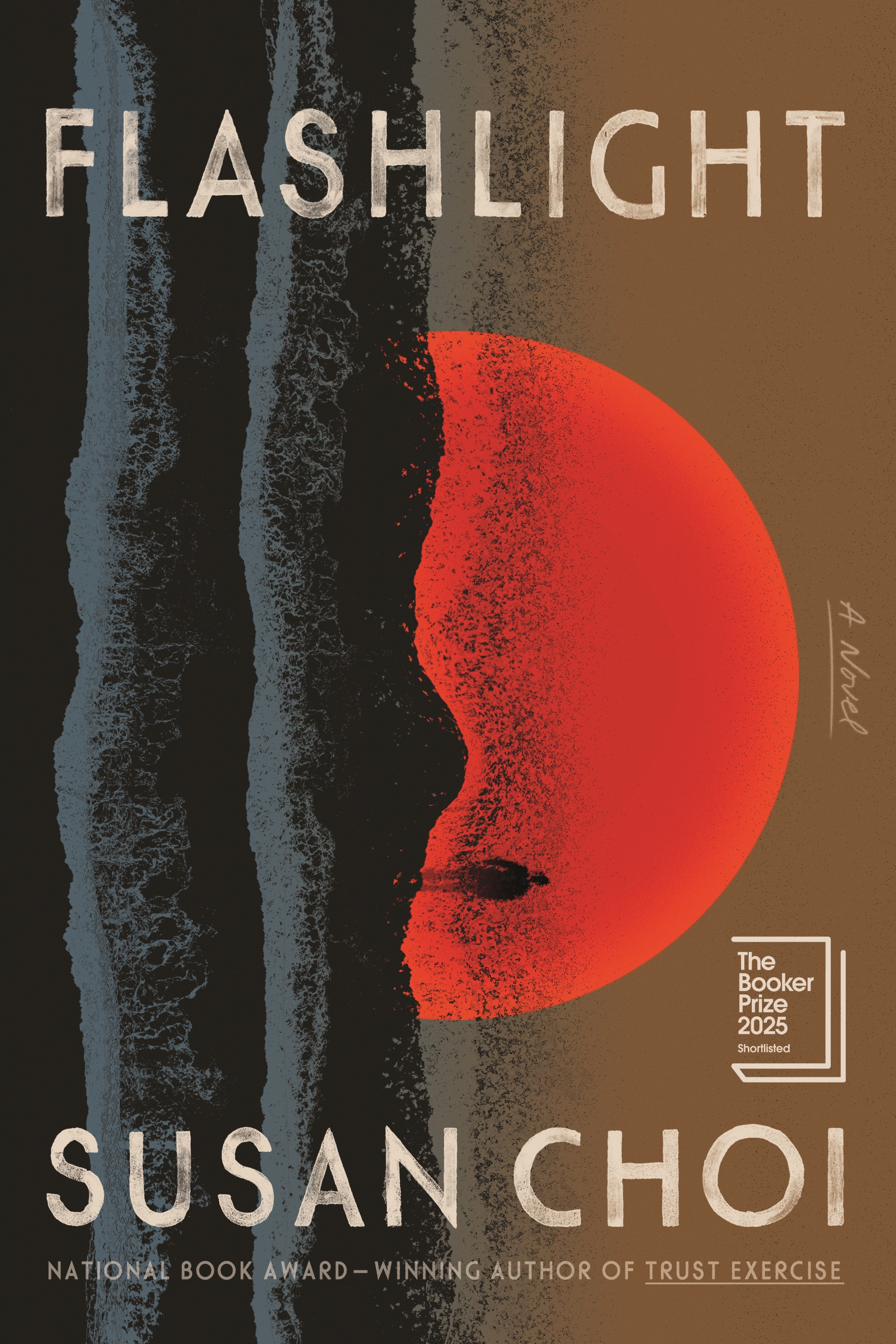 Flashlight cover image