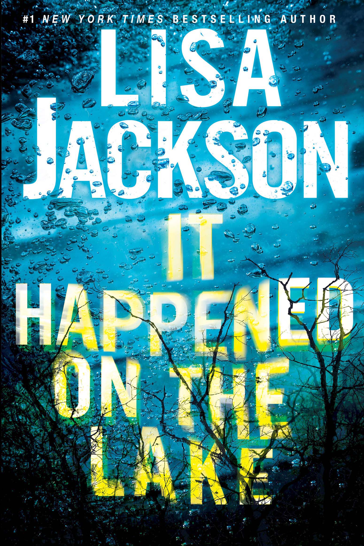 It Happened on the Lake cover image