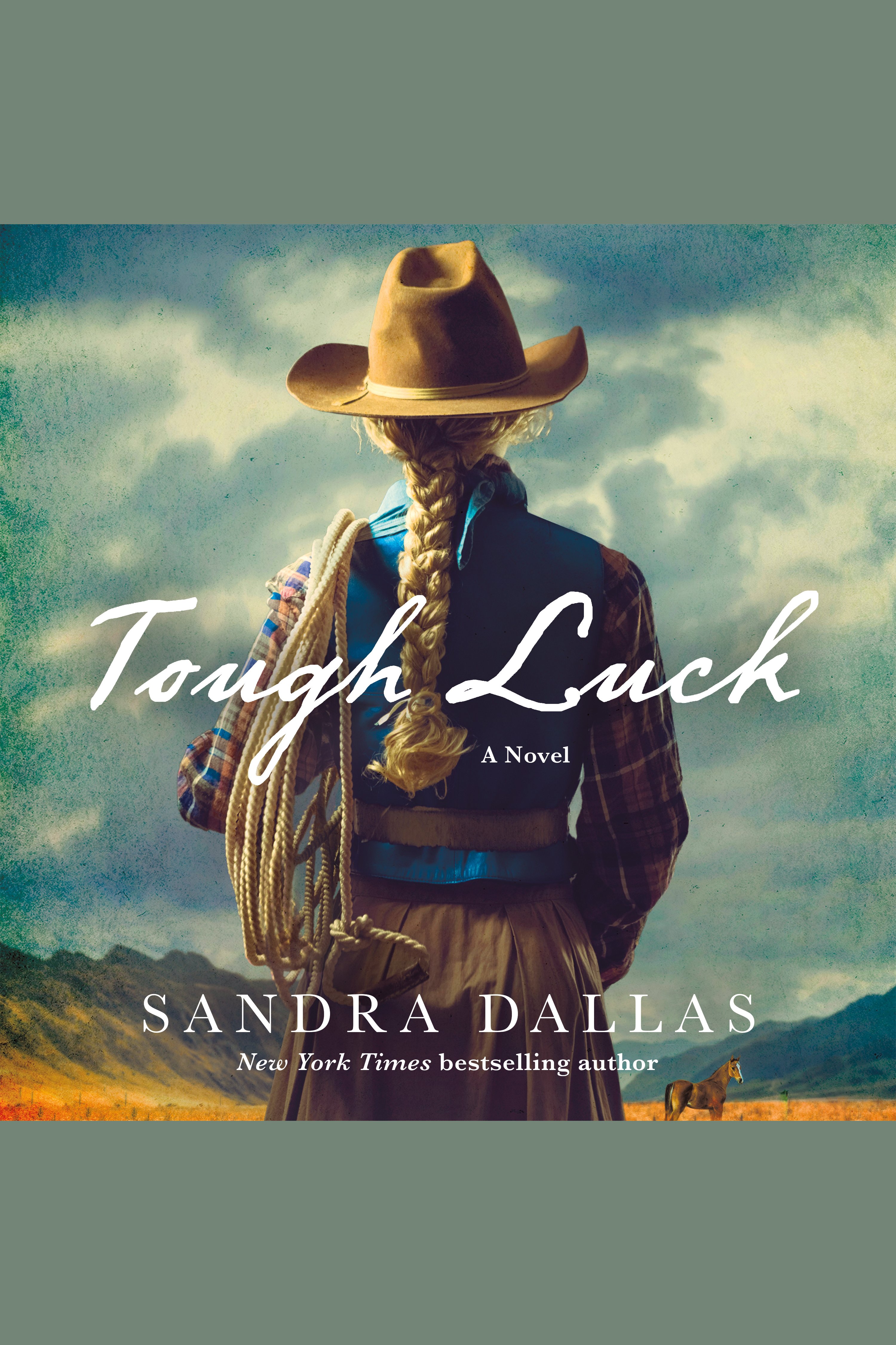 Imagen de portada para Tough Luck [electronic resource] : A Novel
