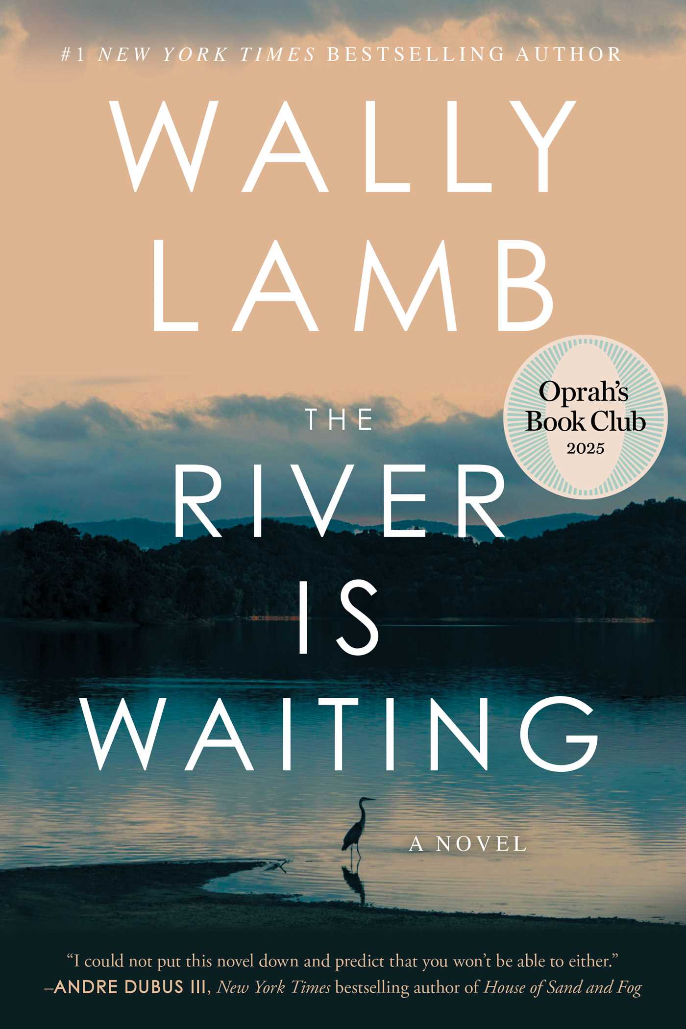 Cover image for The River Is Waiting [electronic resource] : A Novel