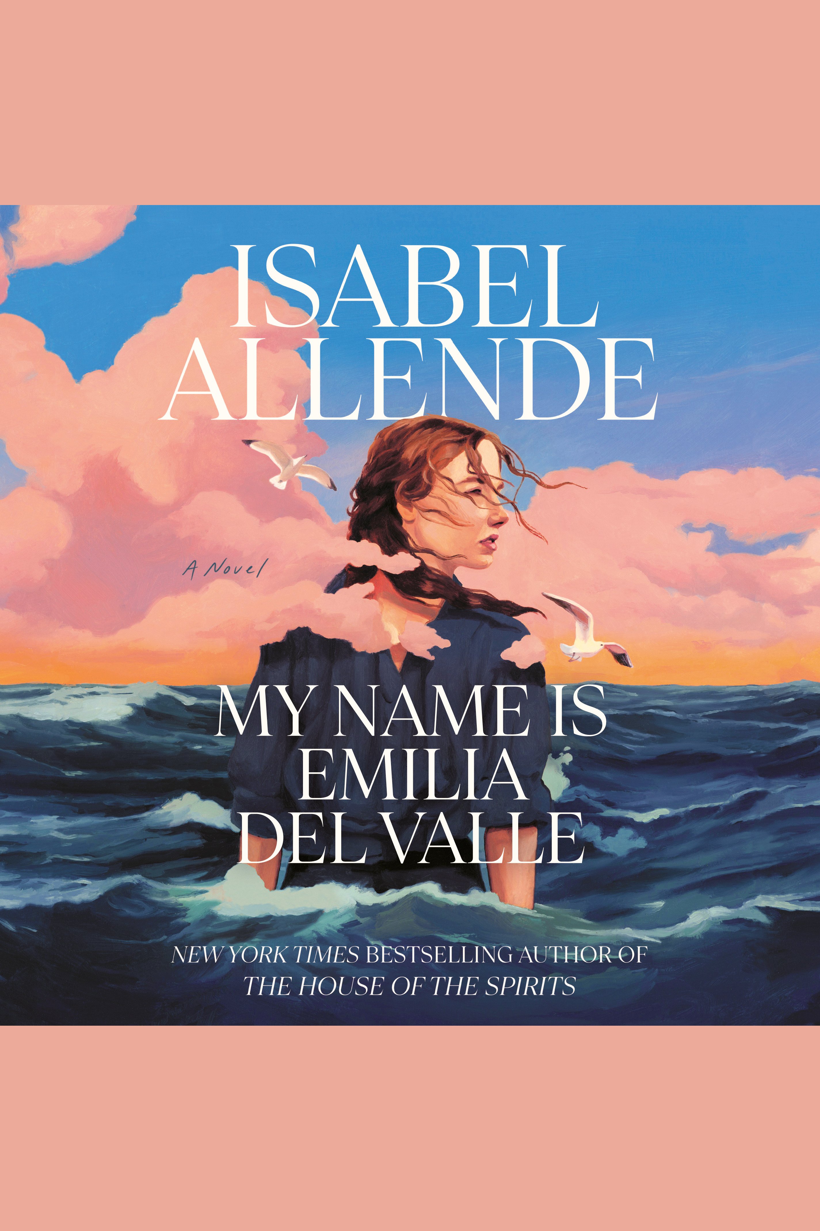 My Name Is Emilia del Valle cover image