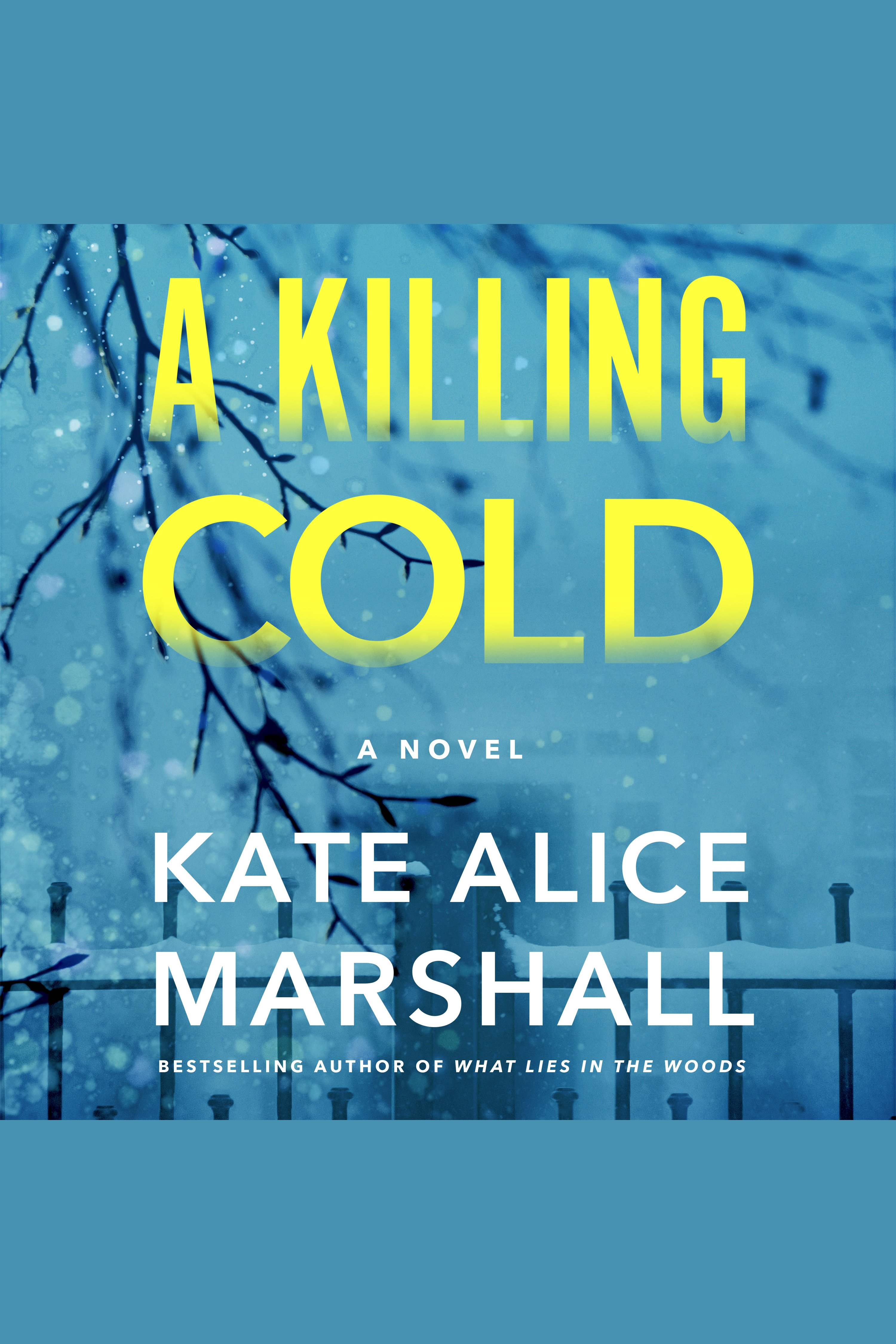 A Killing Cold cover image