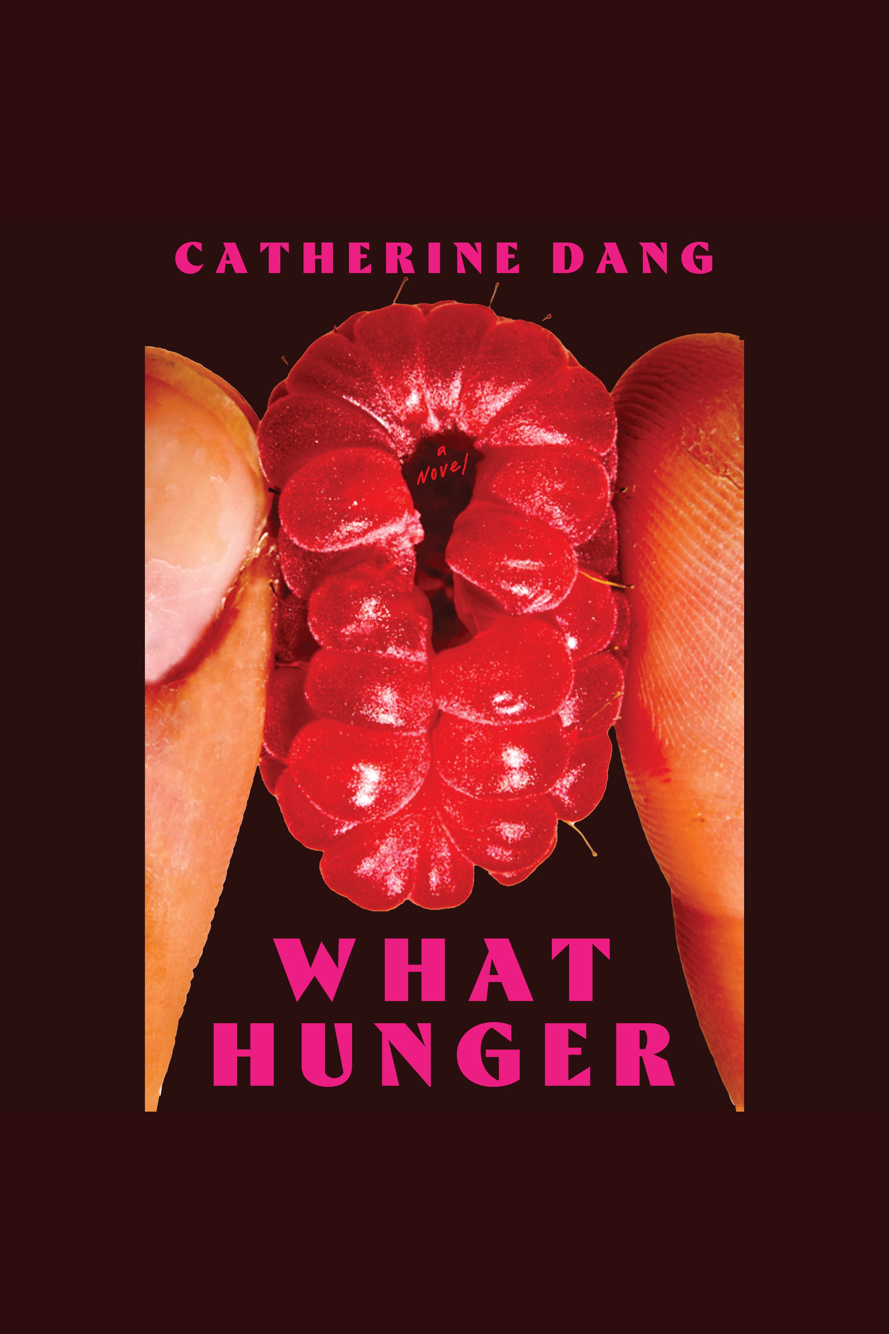 What Hunger cover image