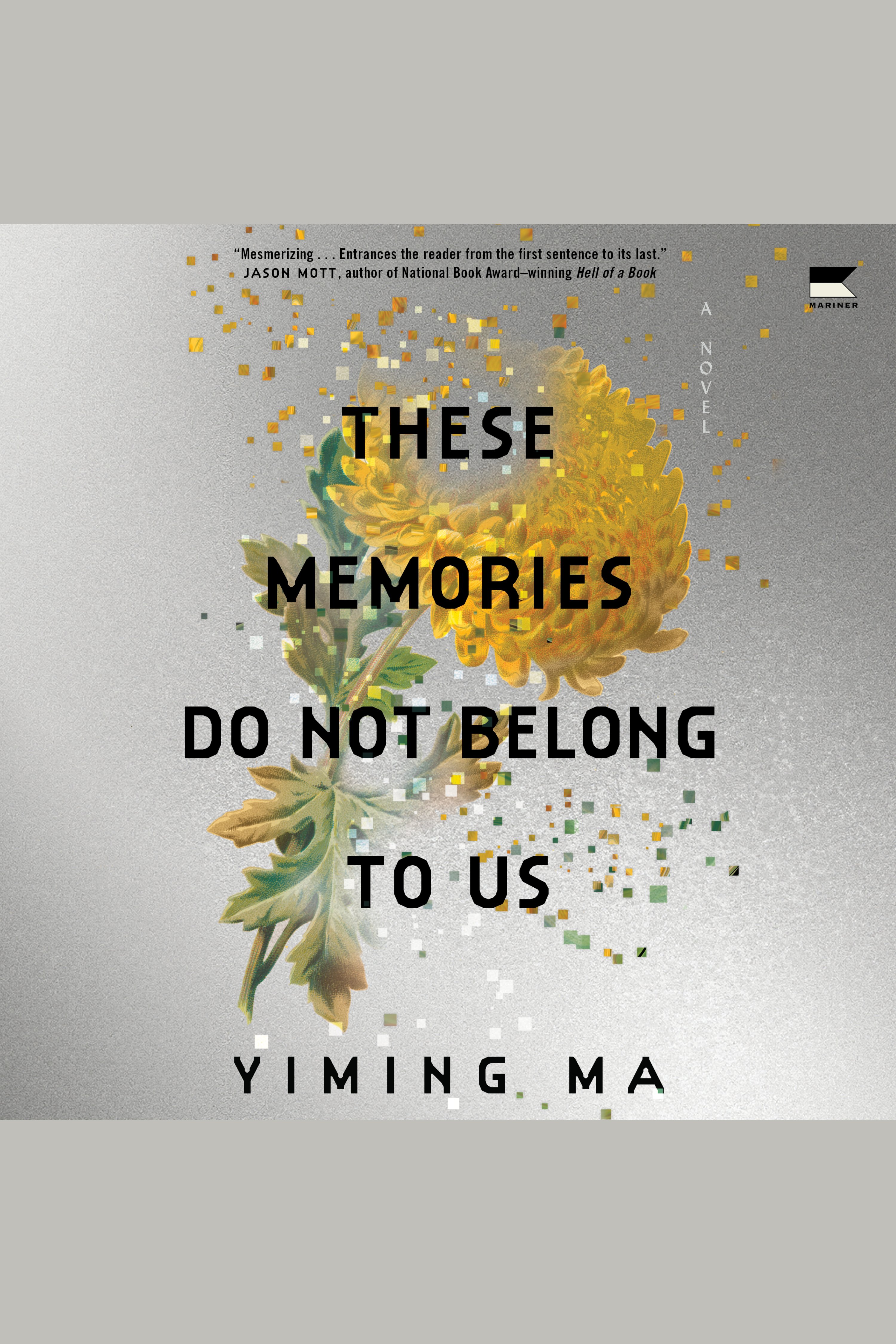 These Memories Do Not Belong to Us A Constellation Novel cover image