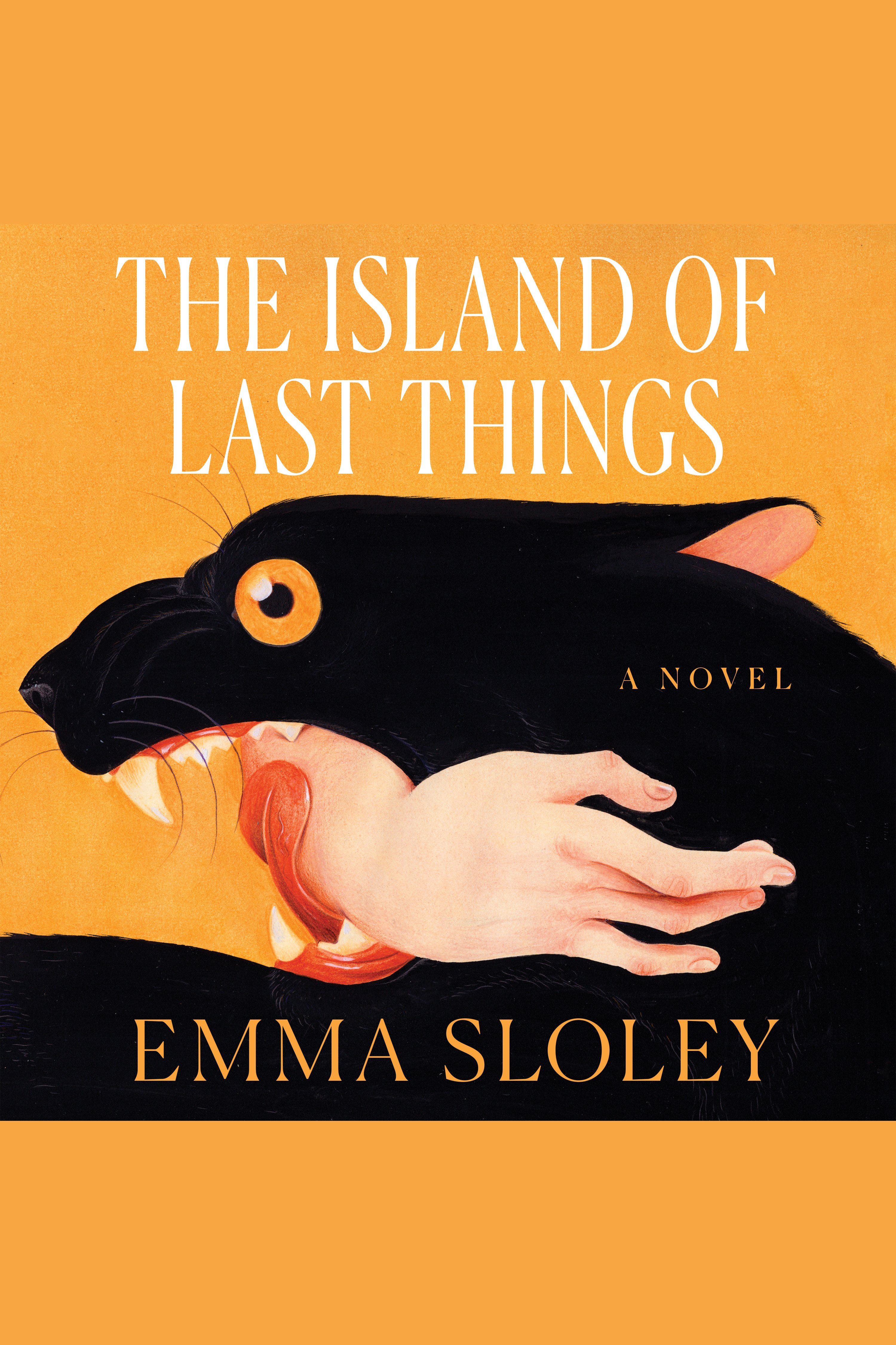 The Island of Last Things cover image