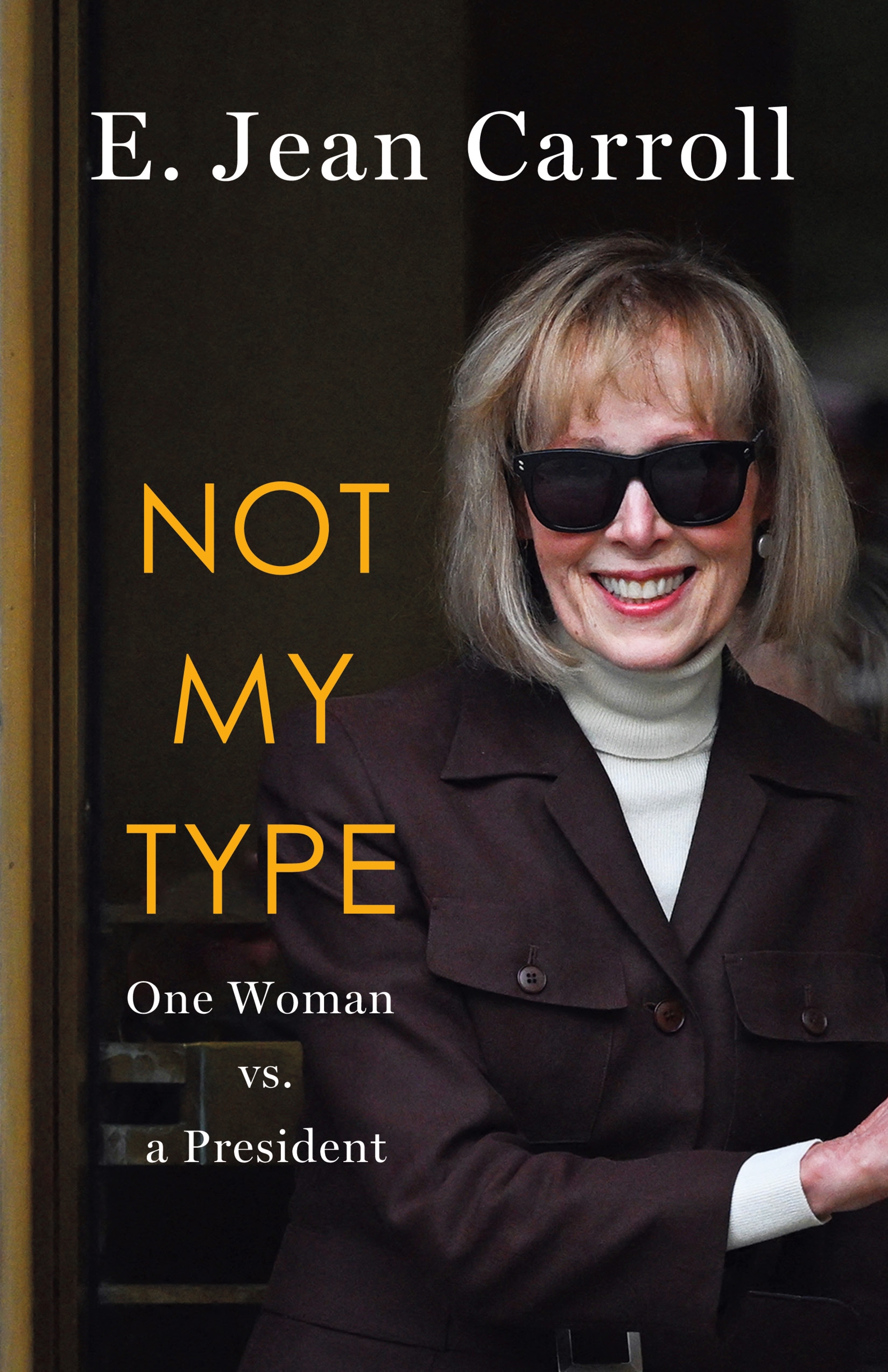 Not My Type One Woman vs. a President cover image