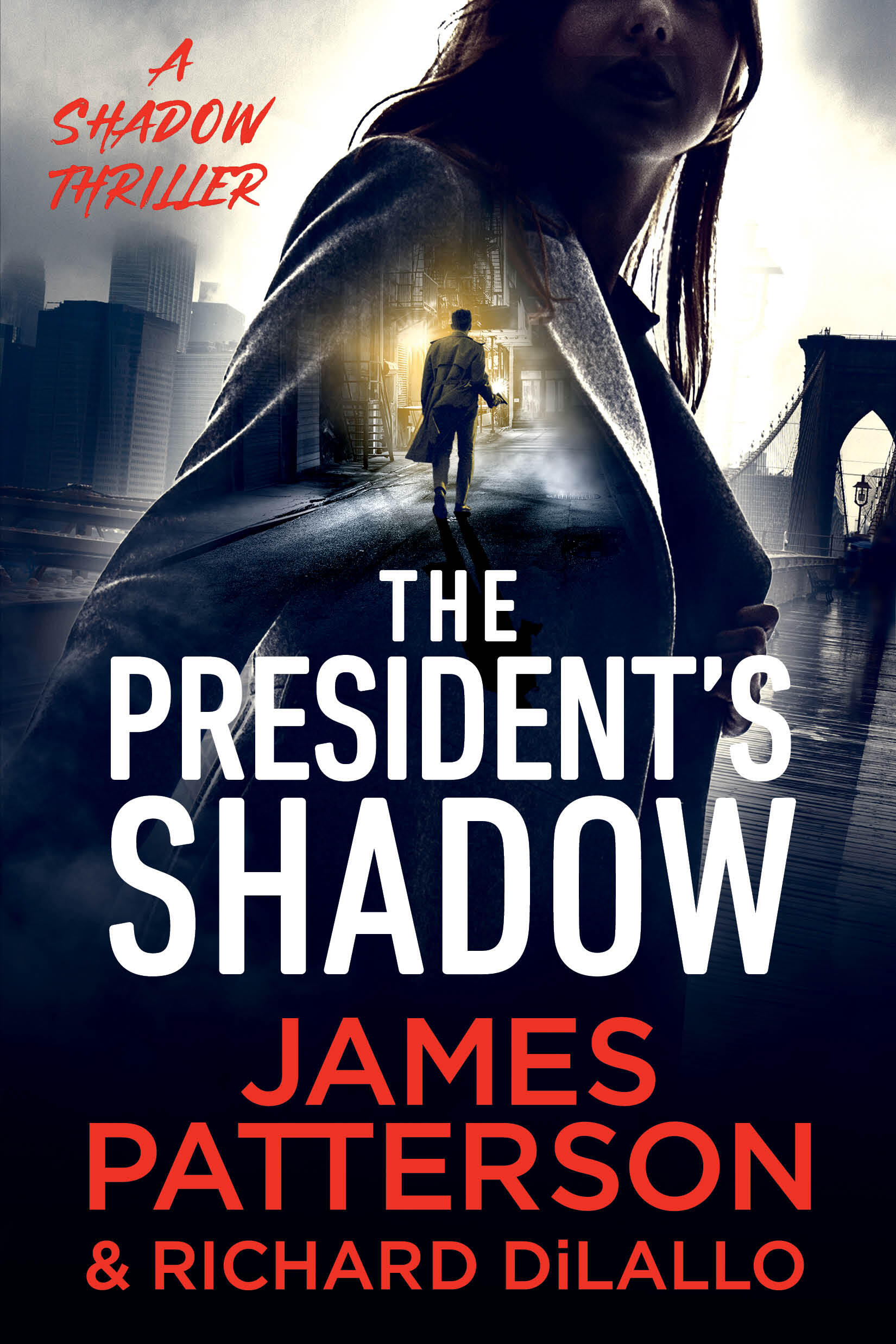 The President's Shadow A Shadow Thriller cover image
