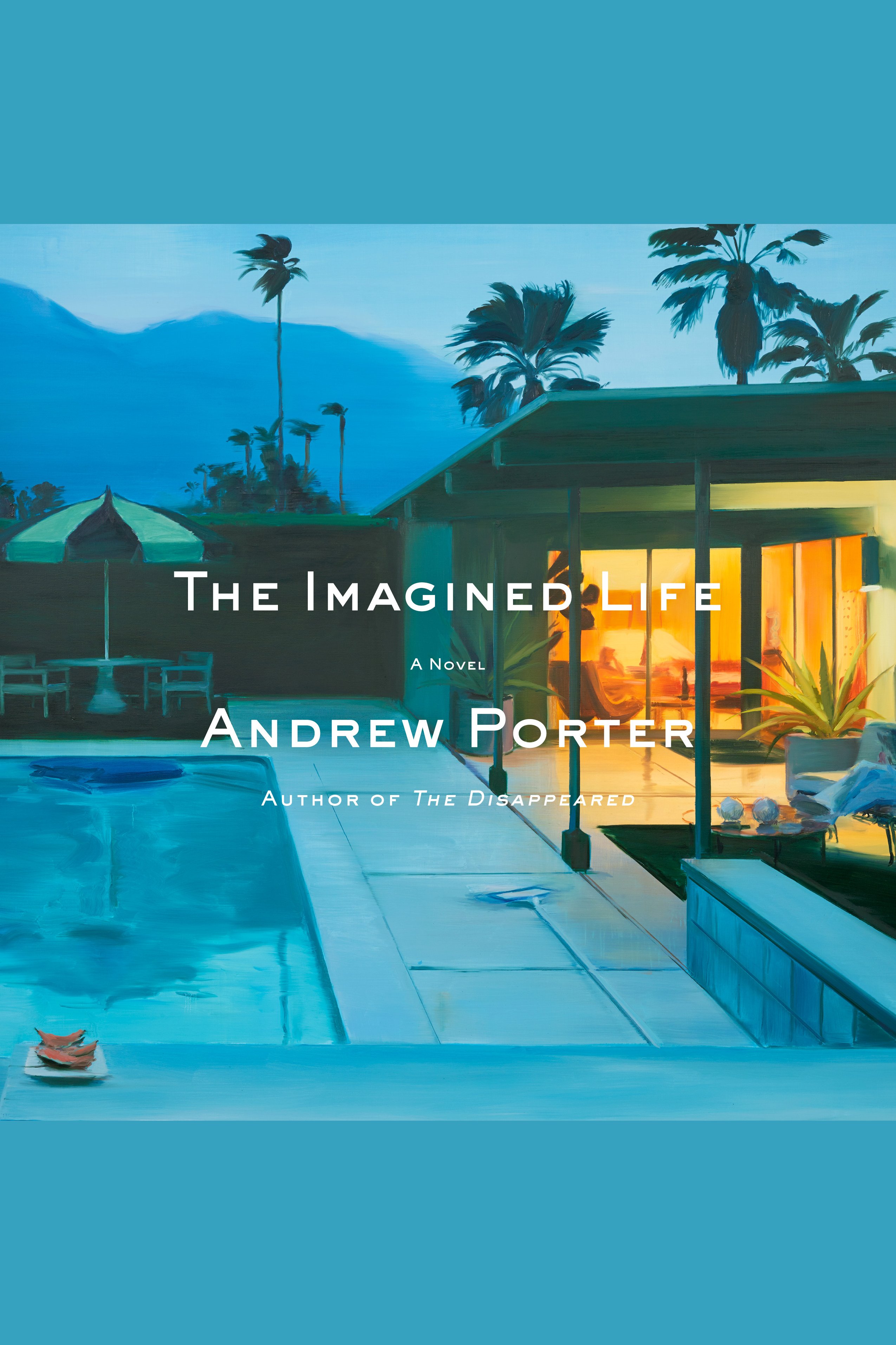 The Imagined Life cover image