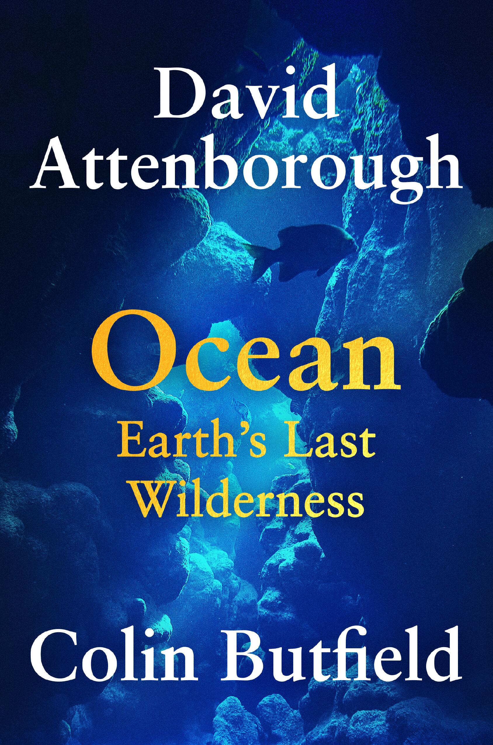 Ocean Earth's Last Wilderness cover image