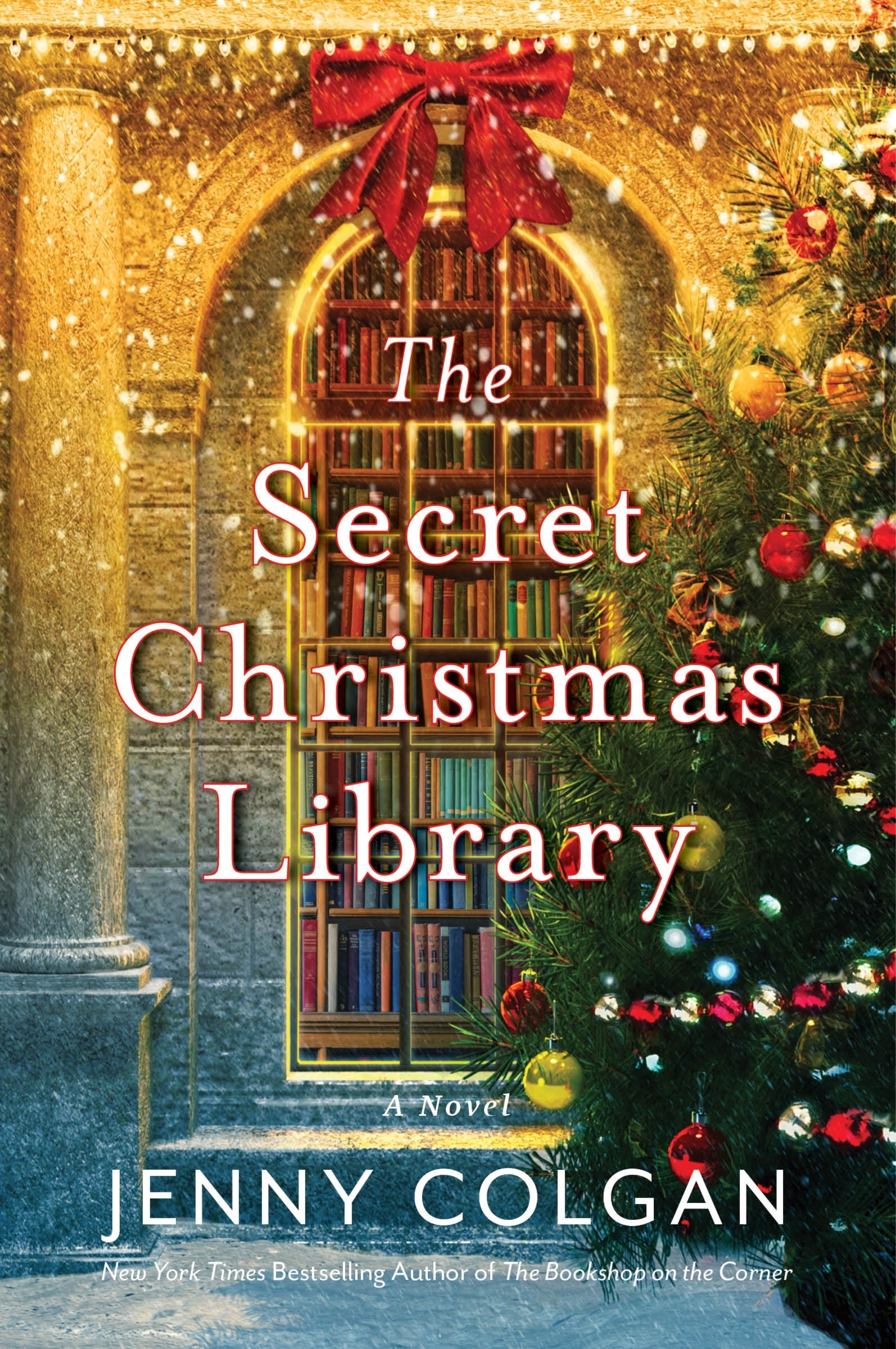 The Secret Christmas Library cover image