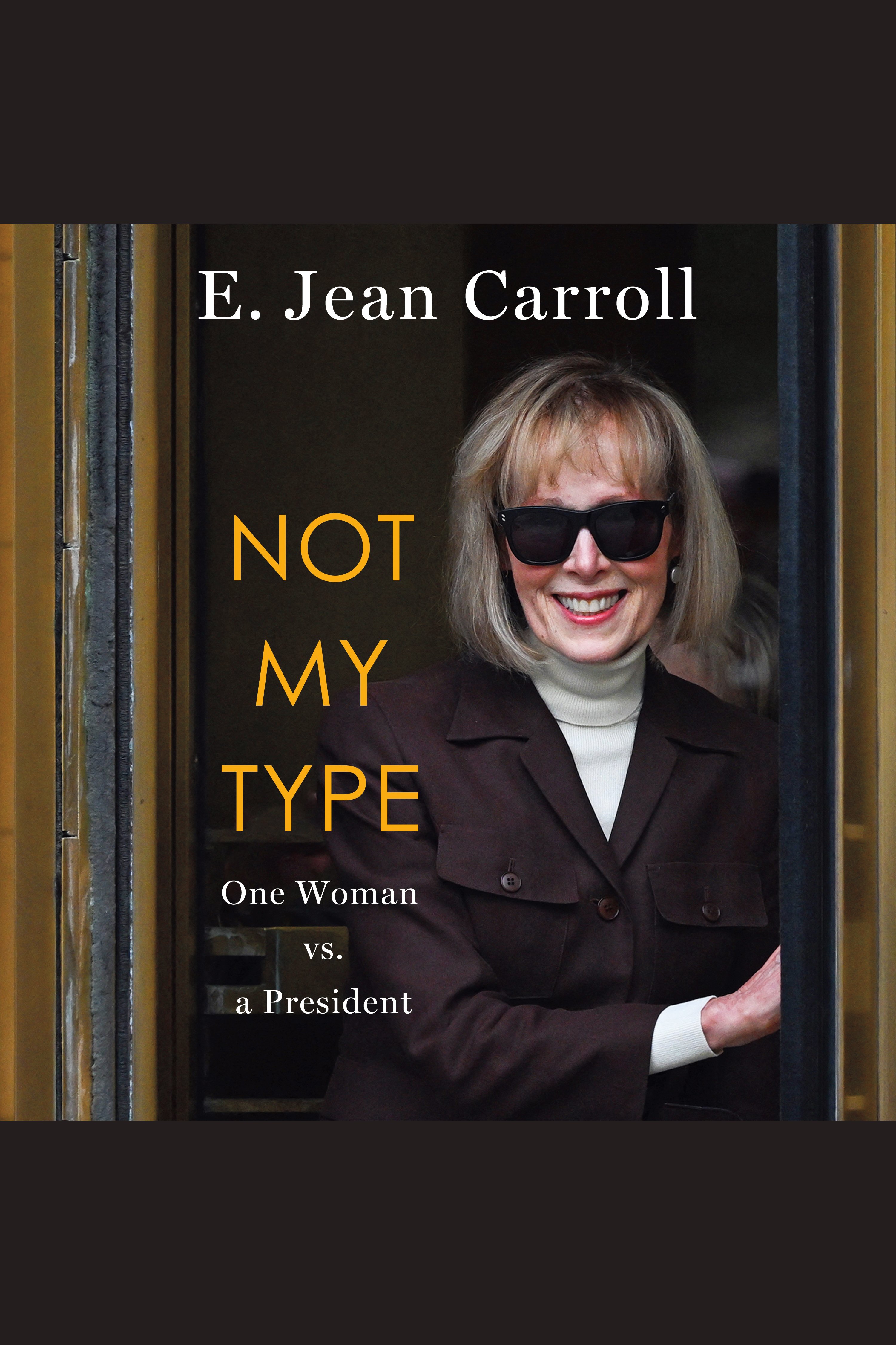 Not My Type One Woman vs. a President cover image