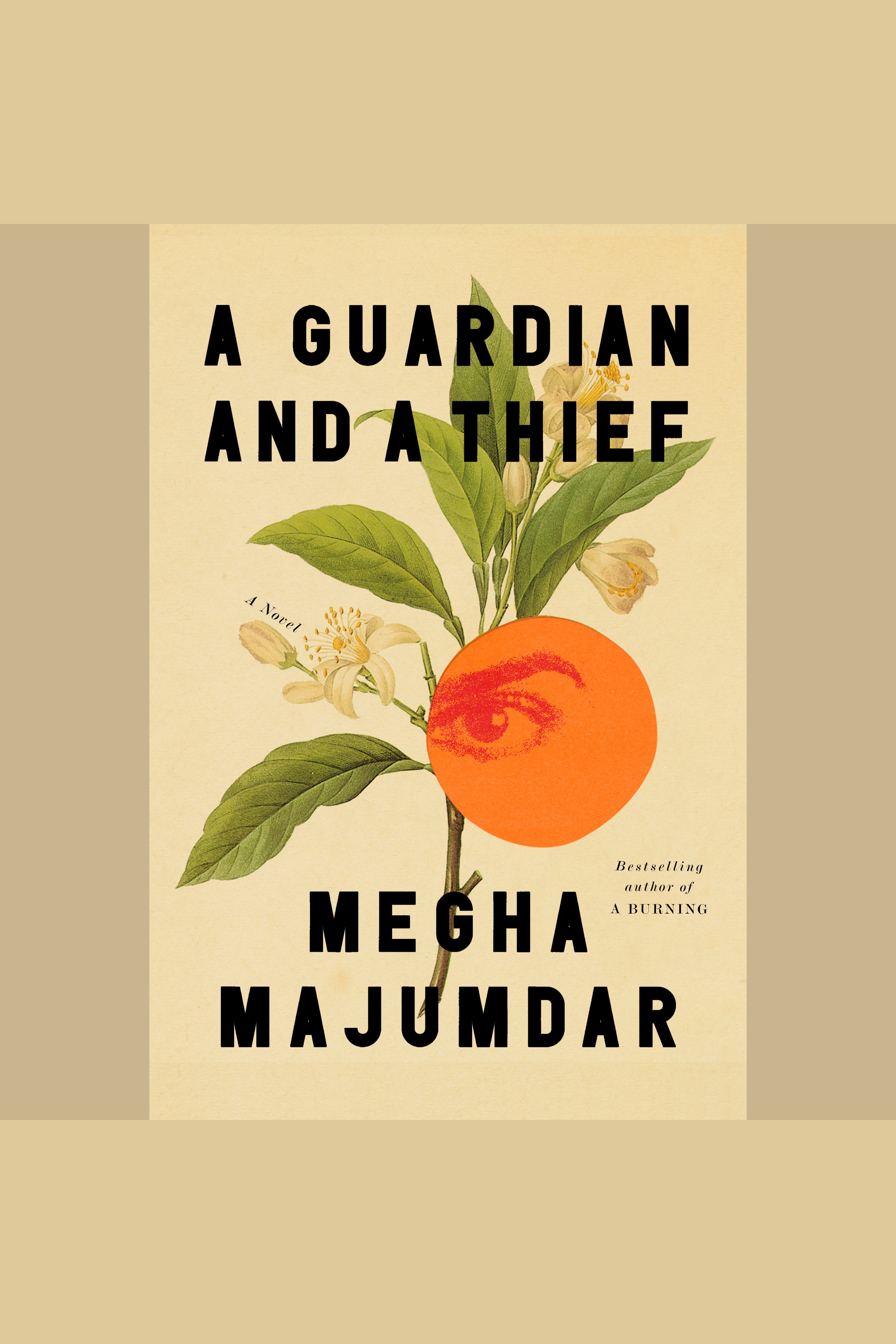 A Guardian and a Thief A Novel