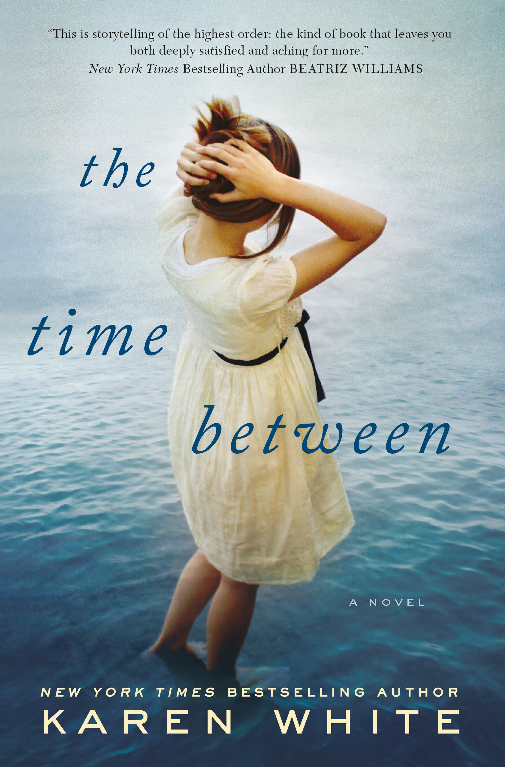 Image de couverture de The Time Between [electronic resource] :