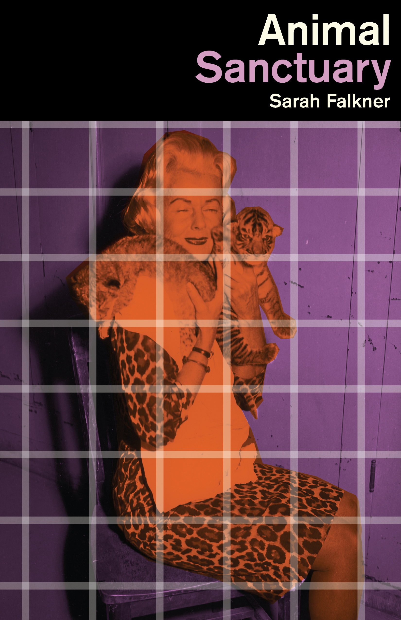 Cover image for Animal Sanctuary [electronic resource] :