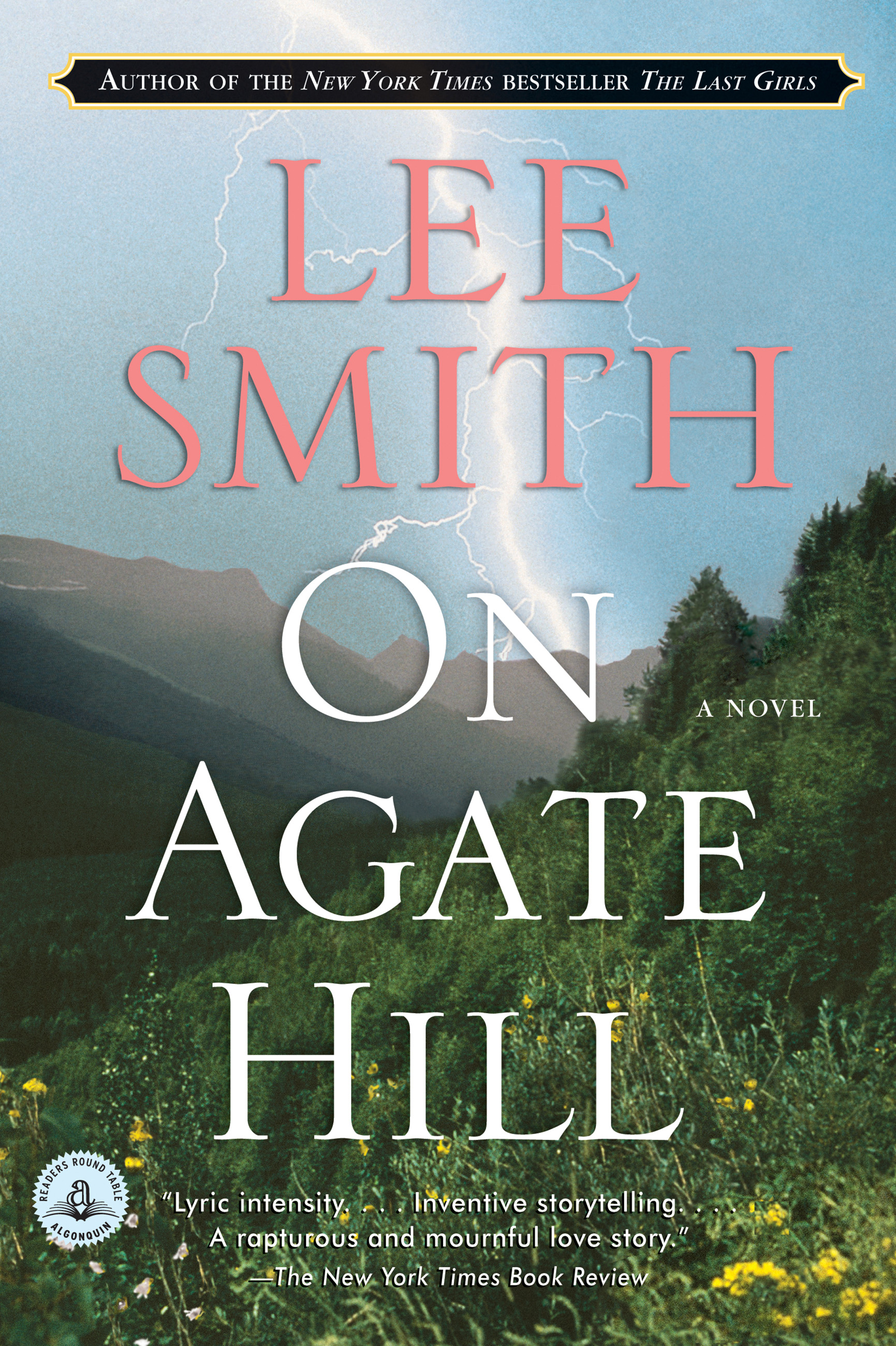 Umschlagbild für On Agate Hill [electronic resource] : A Novel