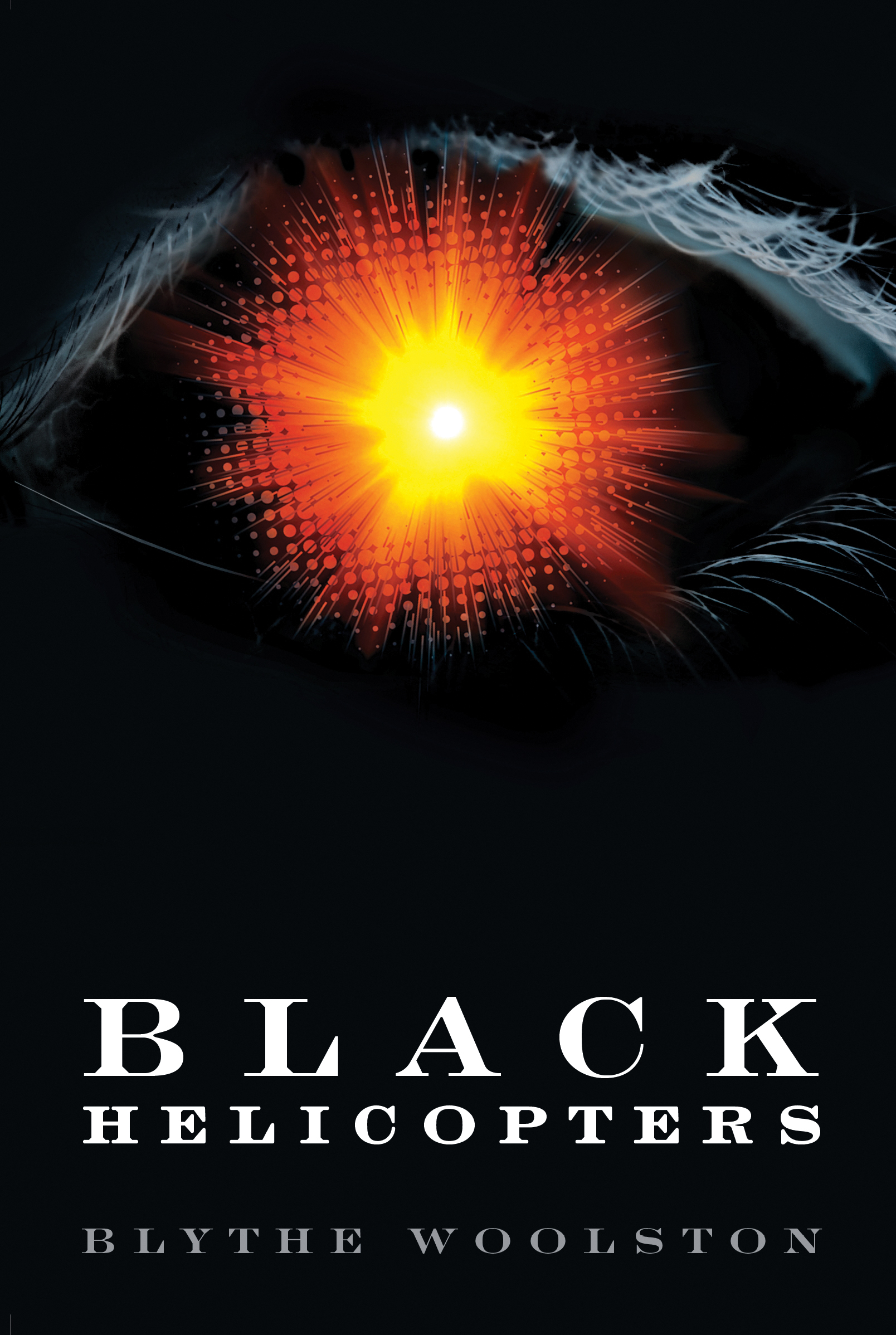 Image de couverture de Black Helicopters [electronic resource] :