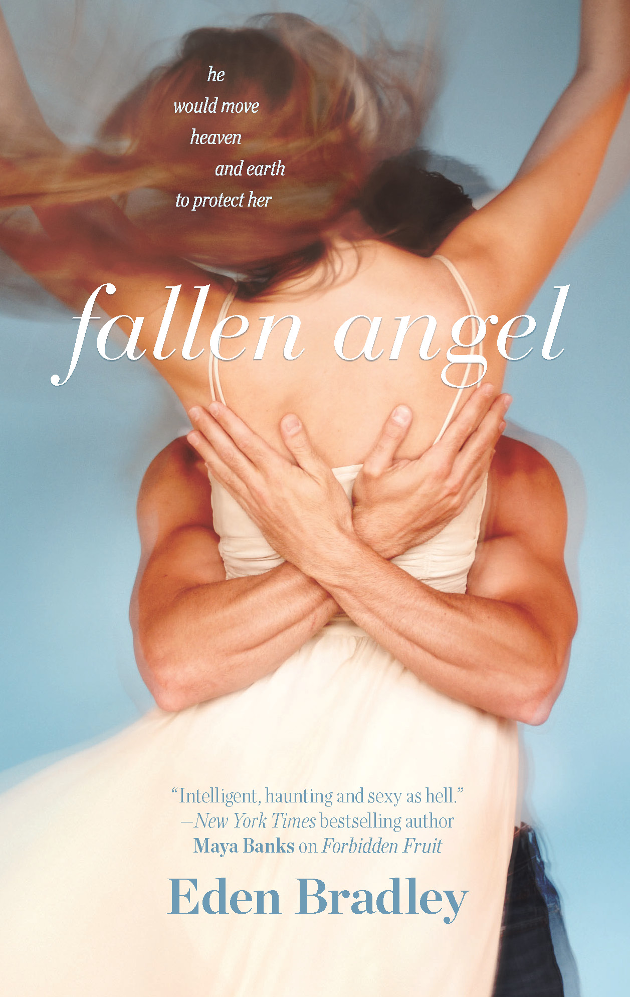 Fallen angel cover image