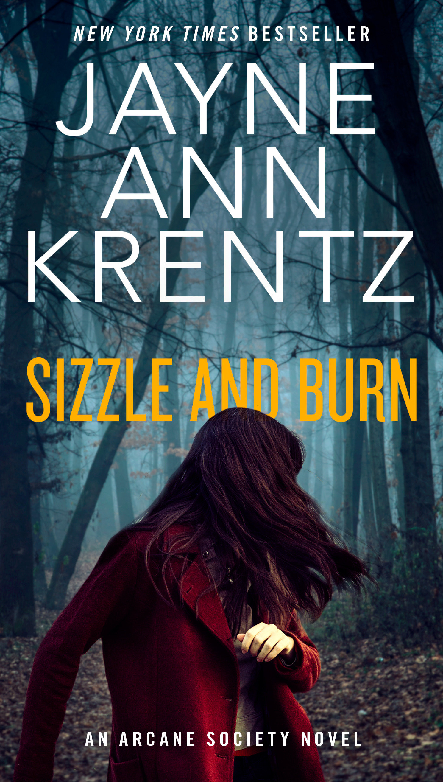 Image de couverture de Sizzle and Burn [electronic resource] :