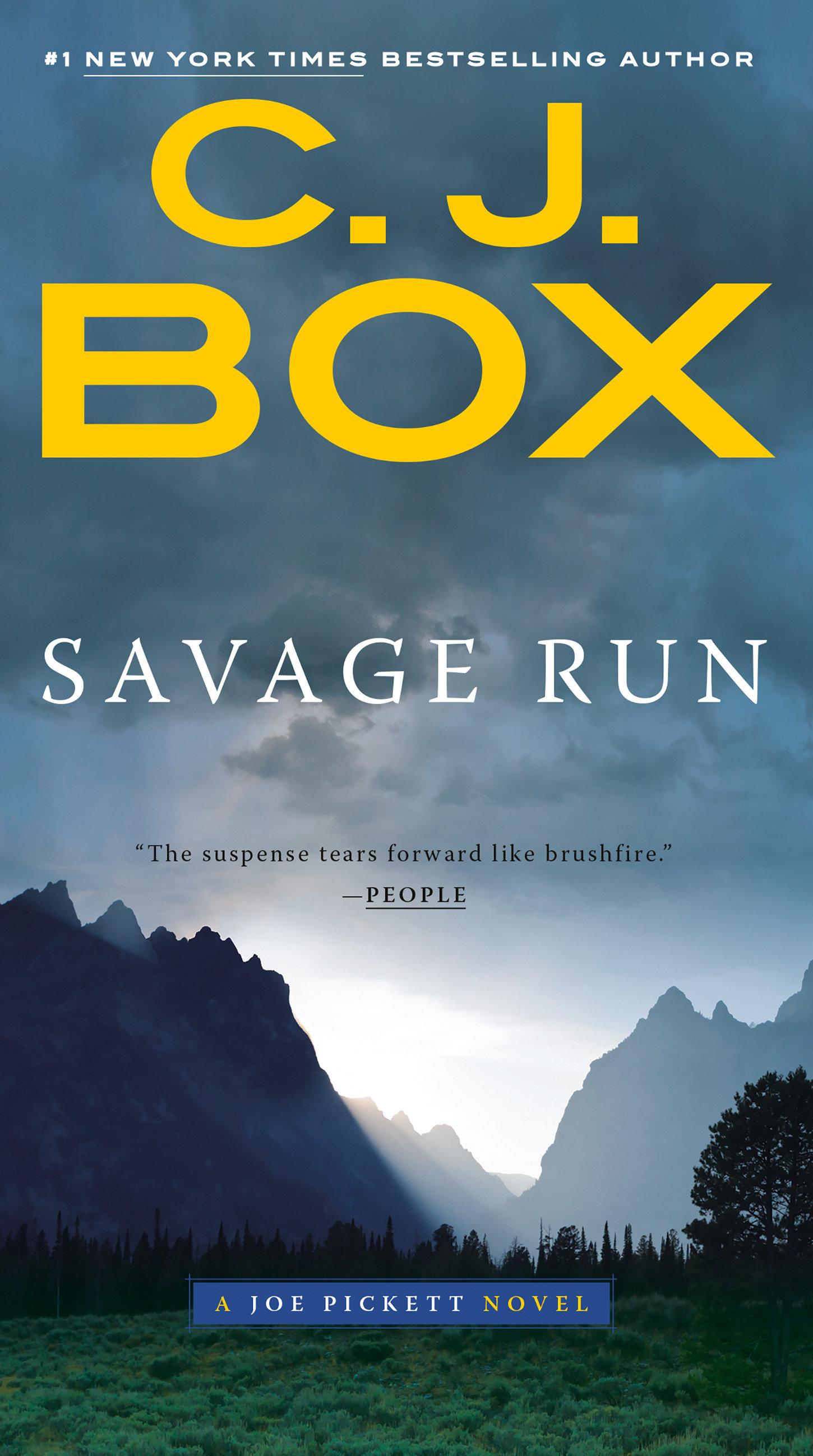 Cover image for Savage Run [electronic resource] :