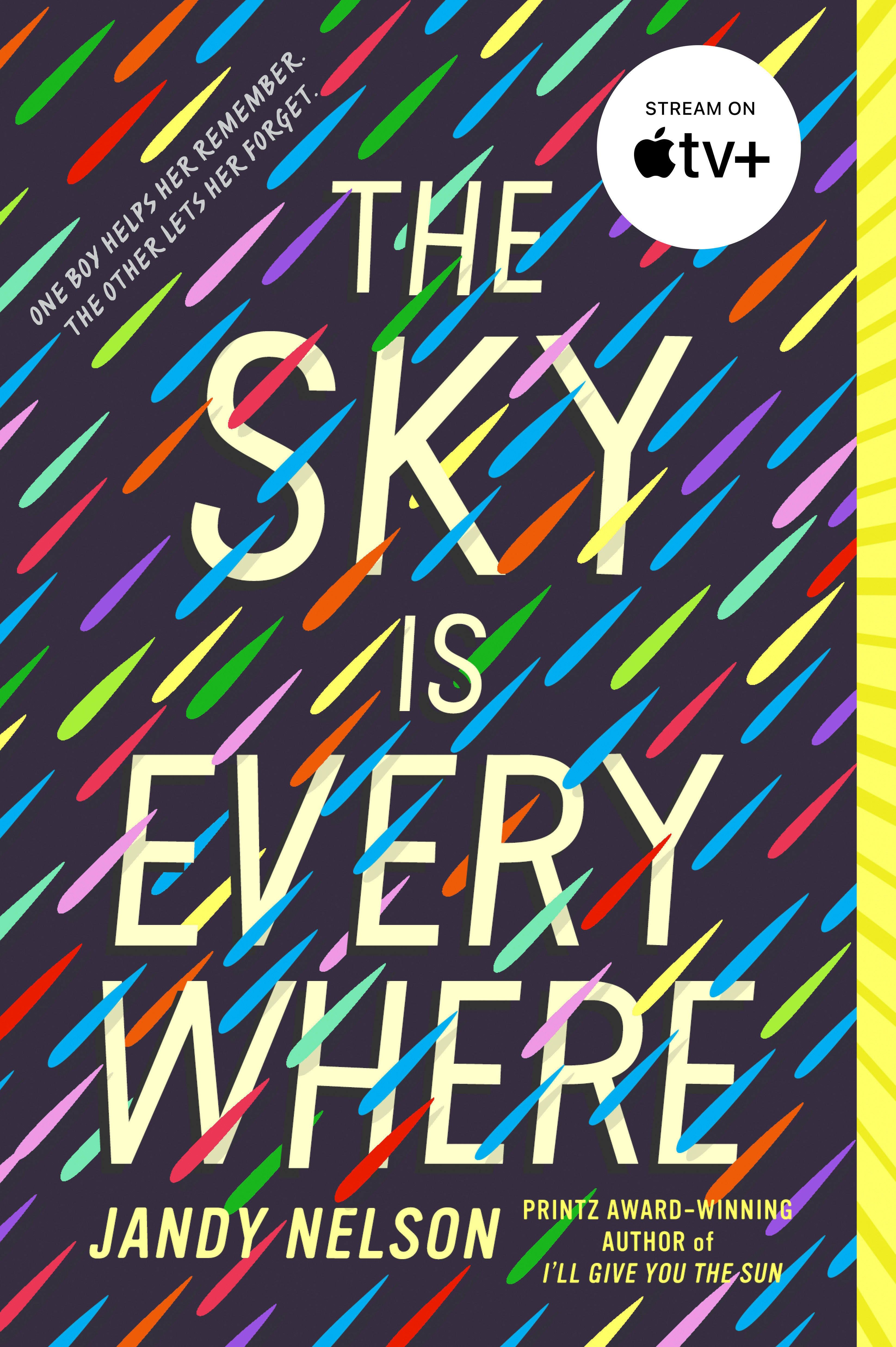 The sky is everywhere cover image