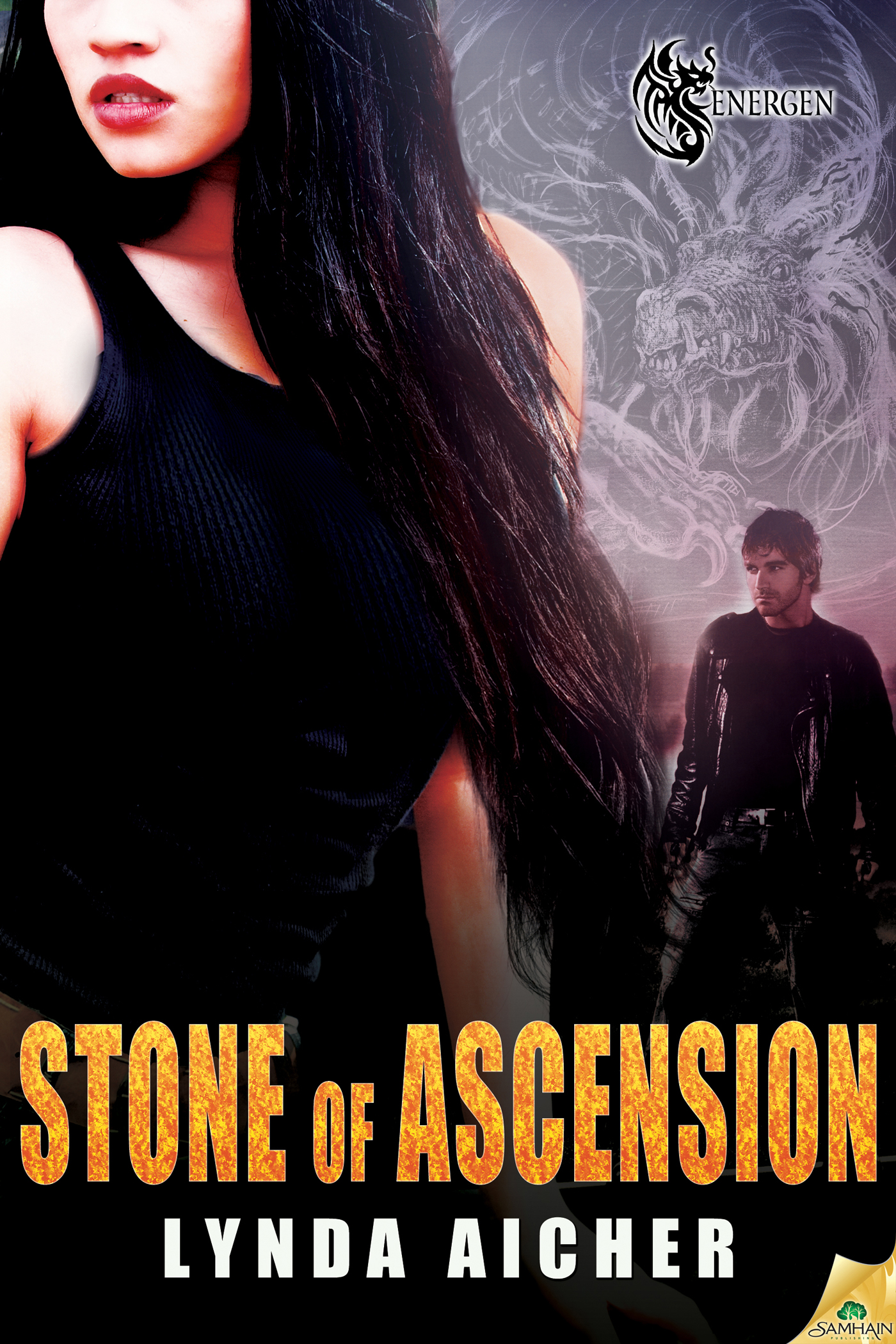 Cover image for Stone of Ascension [electronic resource] :