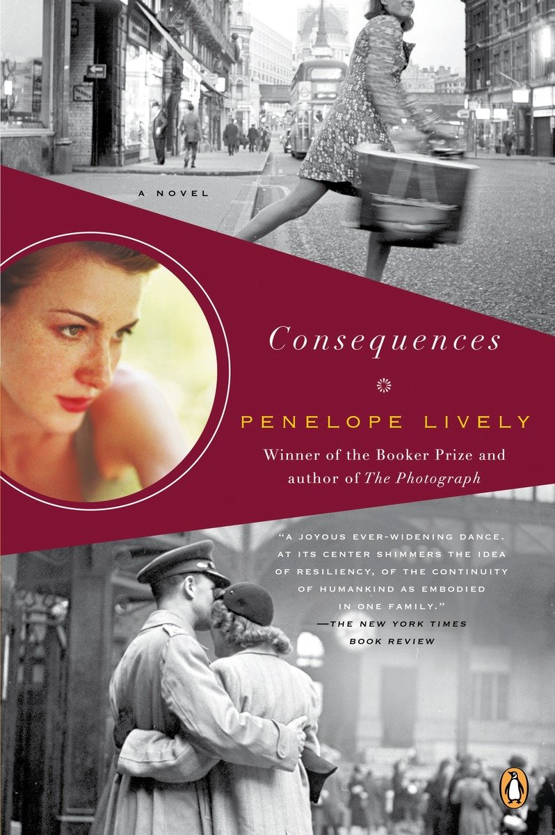 Cover image for Consequences [electronic resource] :