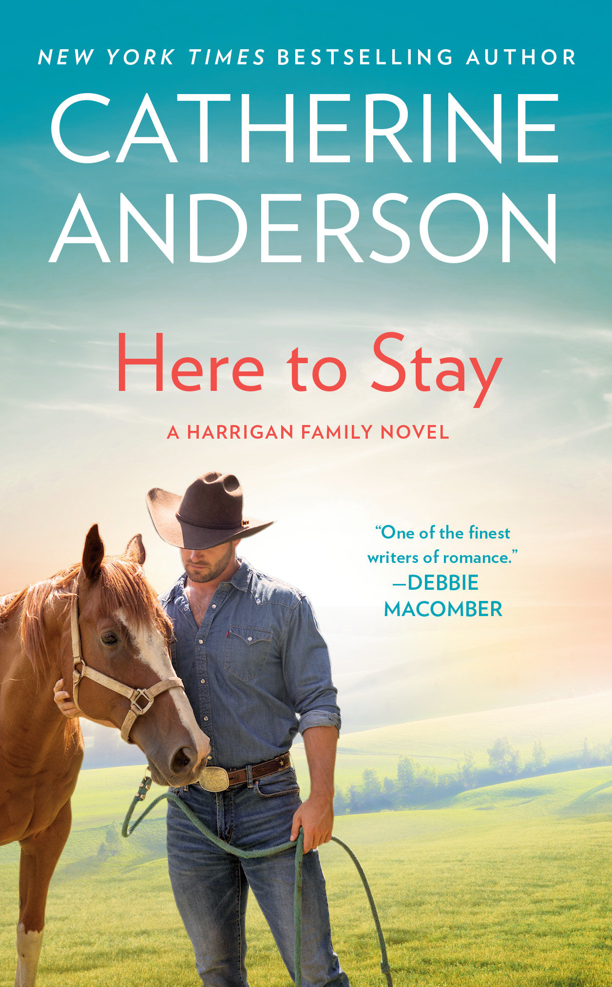 Here to stay cover image
